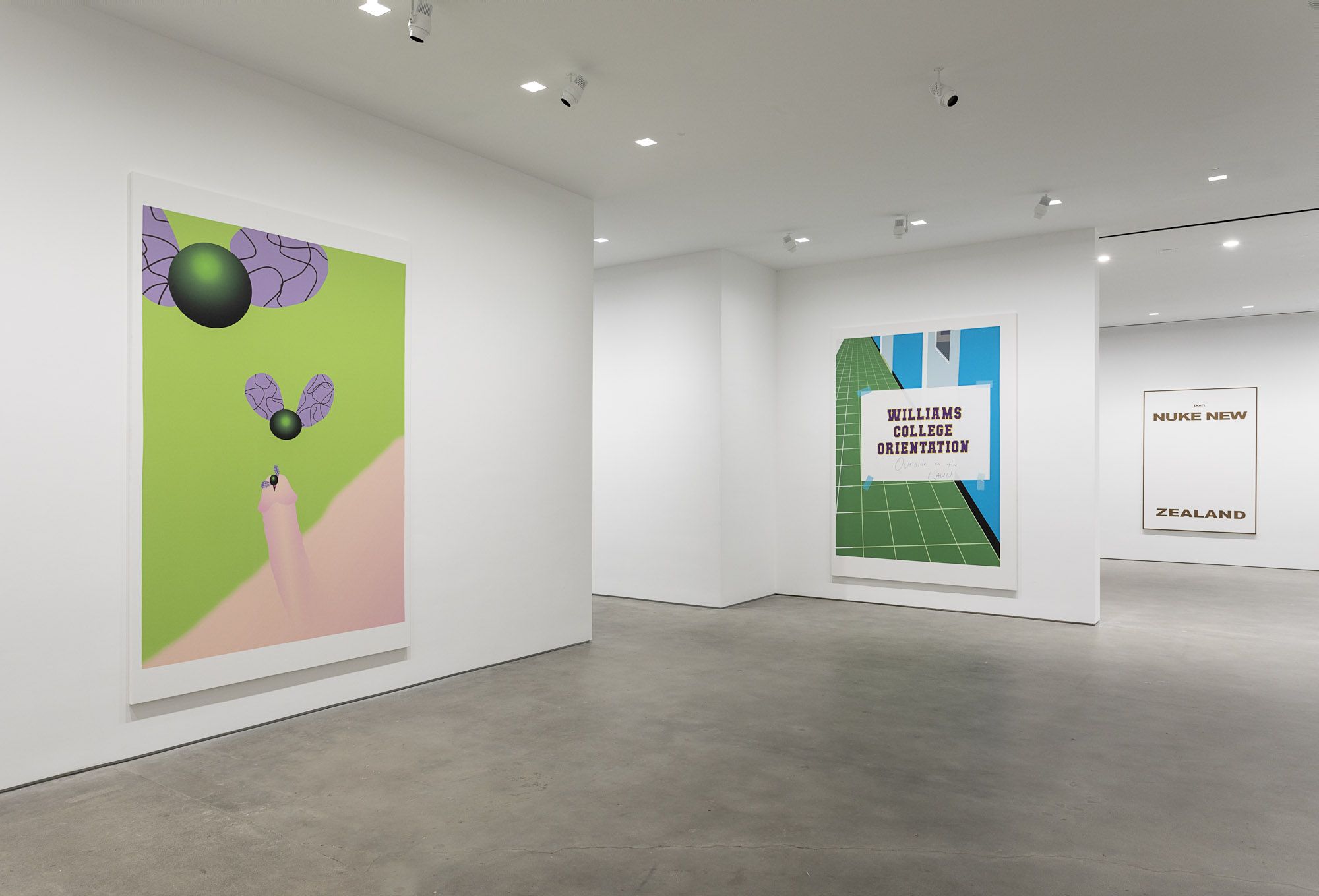 Michael Williams, Opening at Gladstone, photo 5