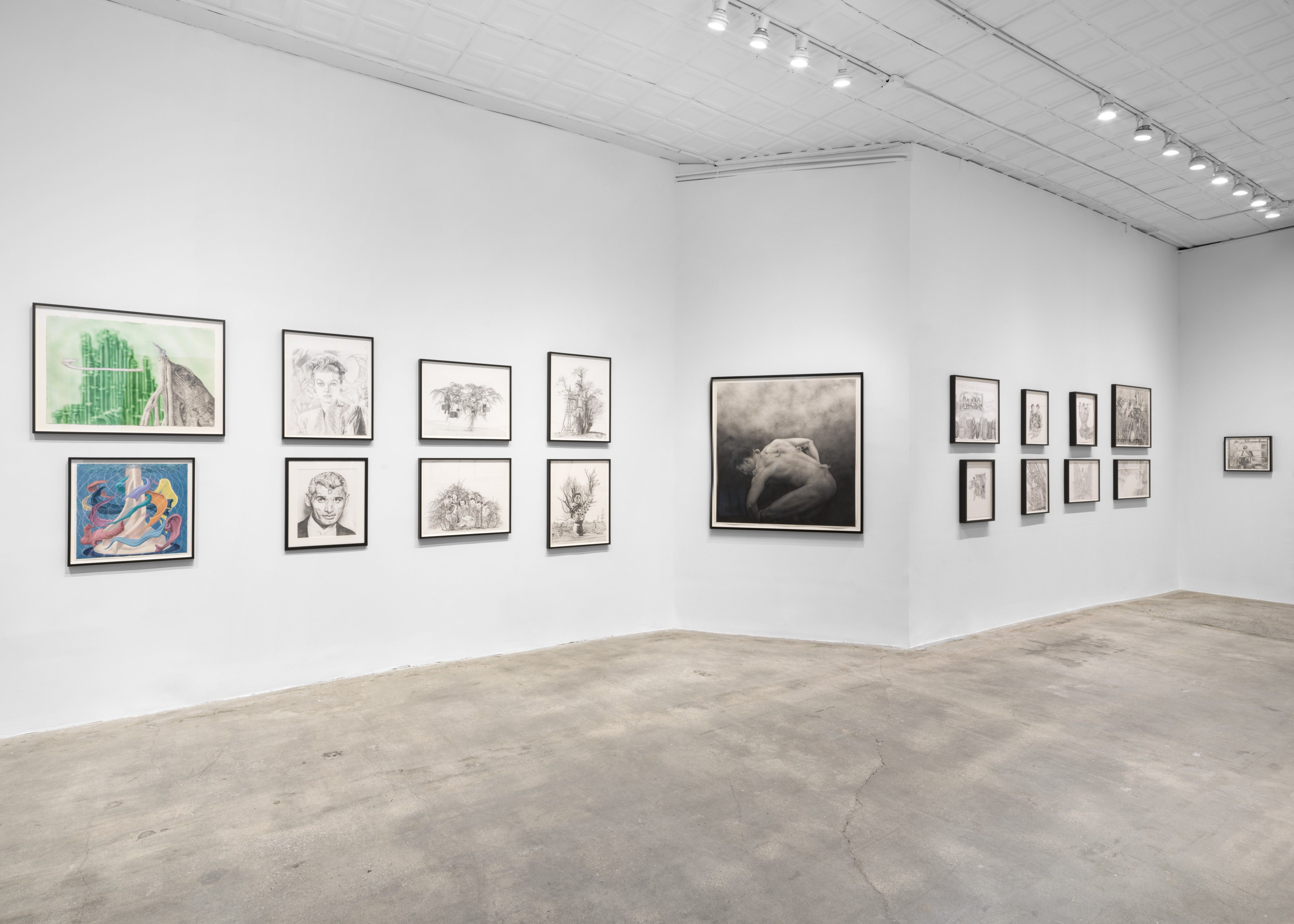Jim Shaw, Drawings at Gagosian, photo 2