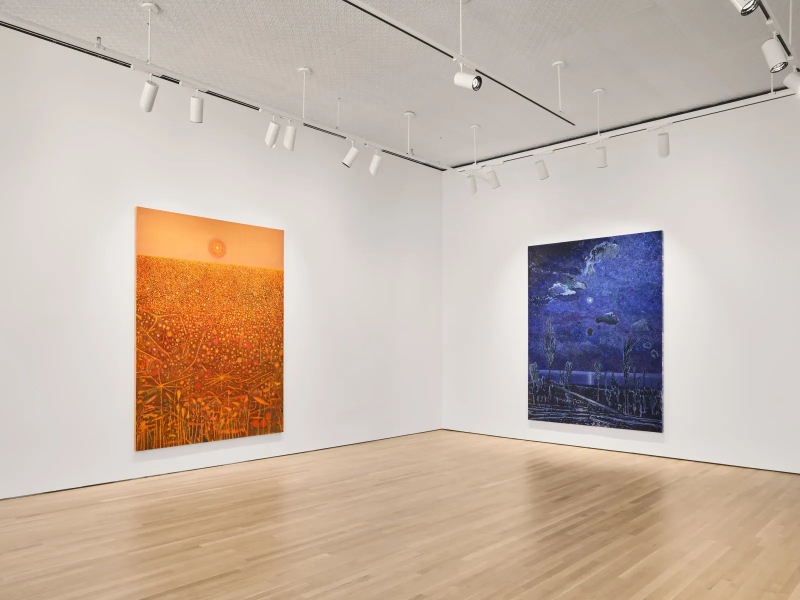 Sky Glabush, The Letters of This Alphabet Were Trees at Stephen Friedman, photo 9
