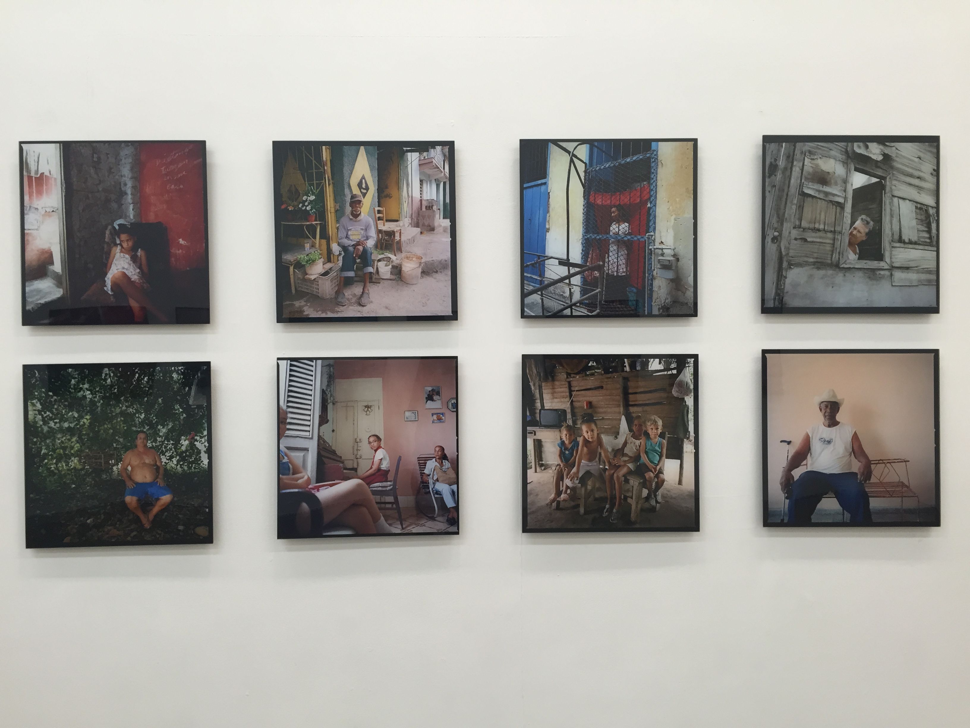 Anthropological Landscape, Anthropological Landscape at WhiteBox, photo 3