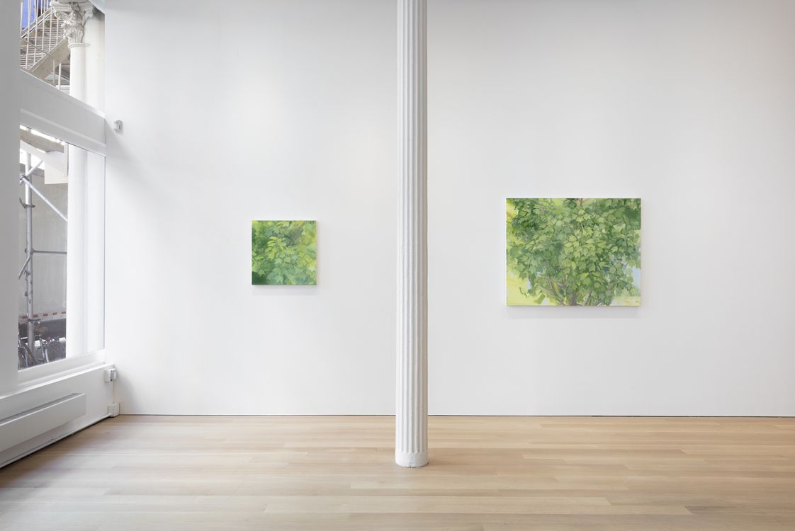Sylvia Plimack Mangold, Summer and Winter at Alexander and Bonin, photo 3