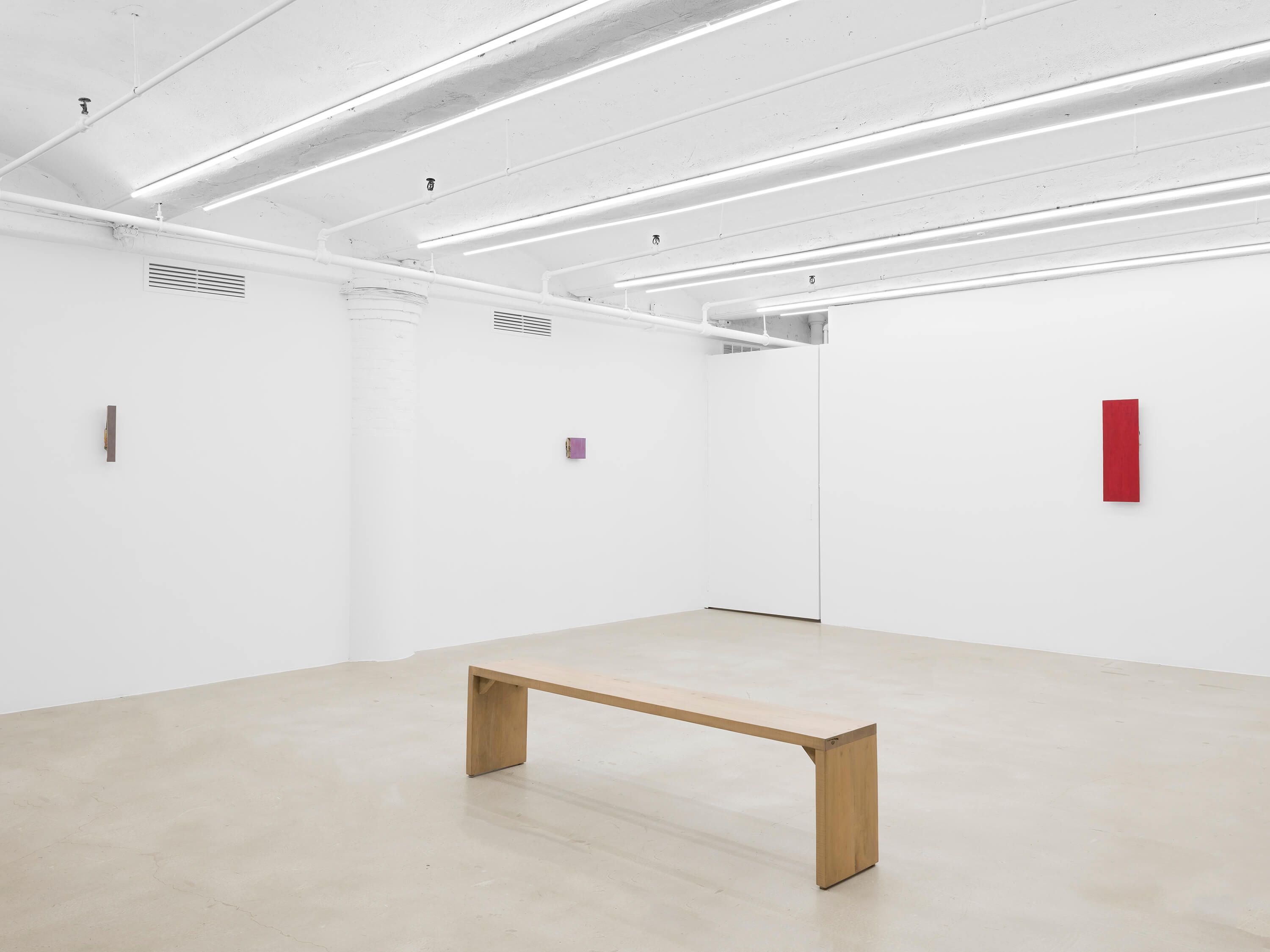 Graham Collins, Dog Walker's Manifesto at Sean Horton (Presents), photo 6