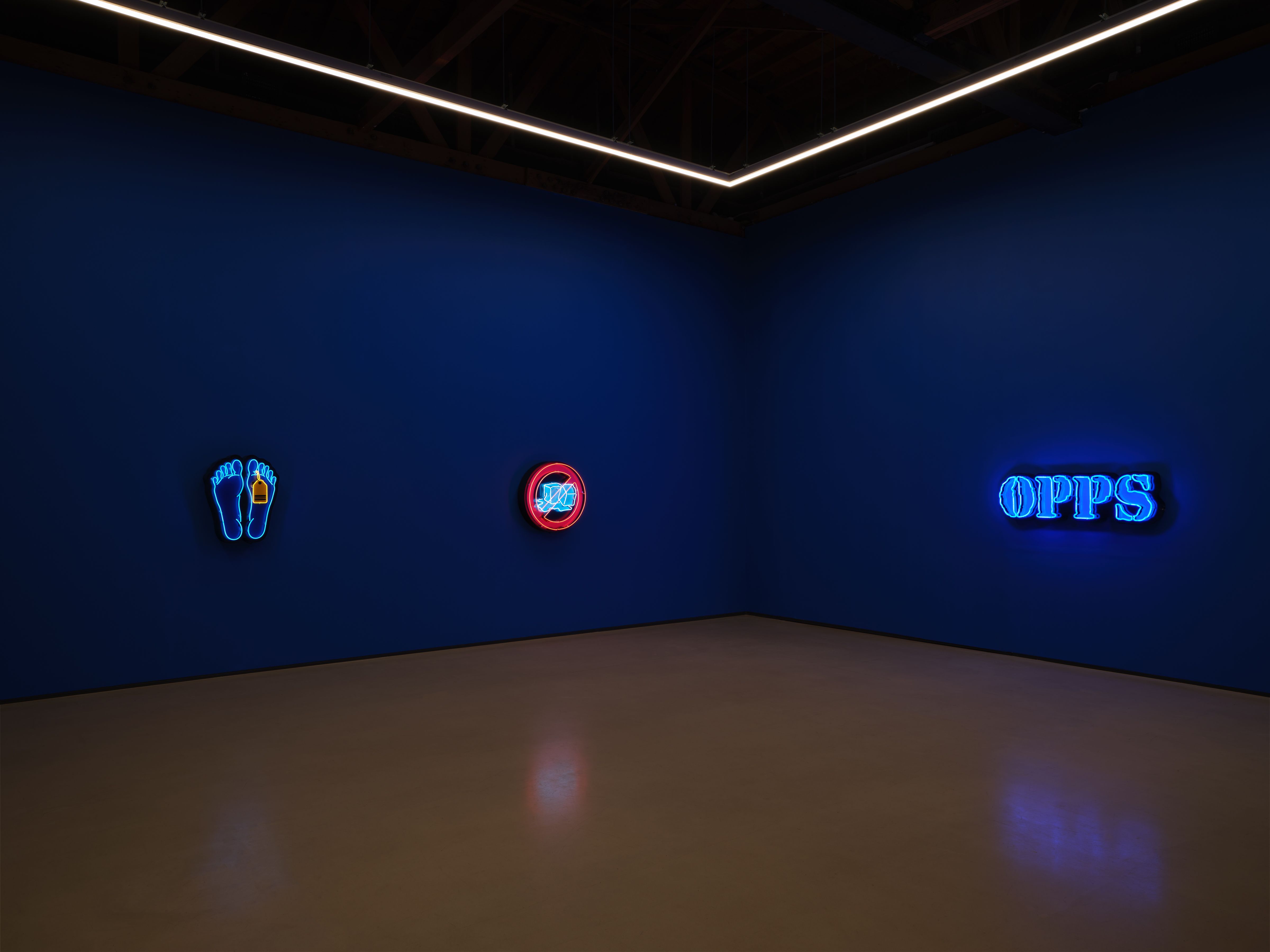 Awol Erizku, Moon, Turn the Flames...Gently Gently Away at Sean Kelly, photo 5