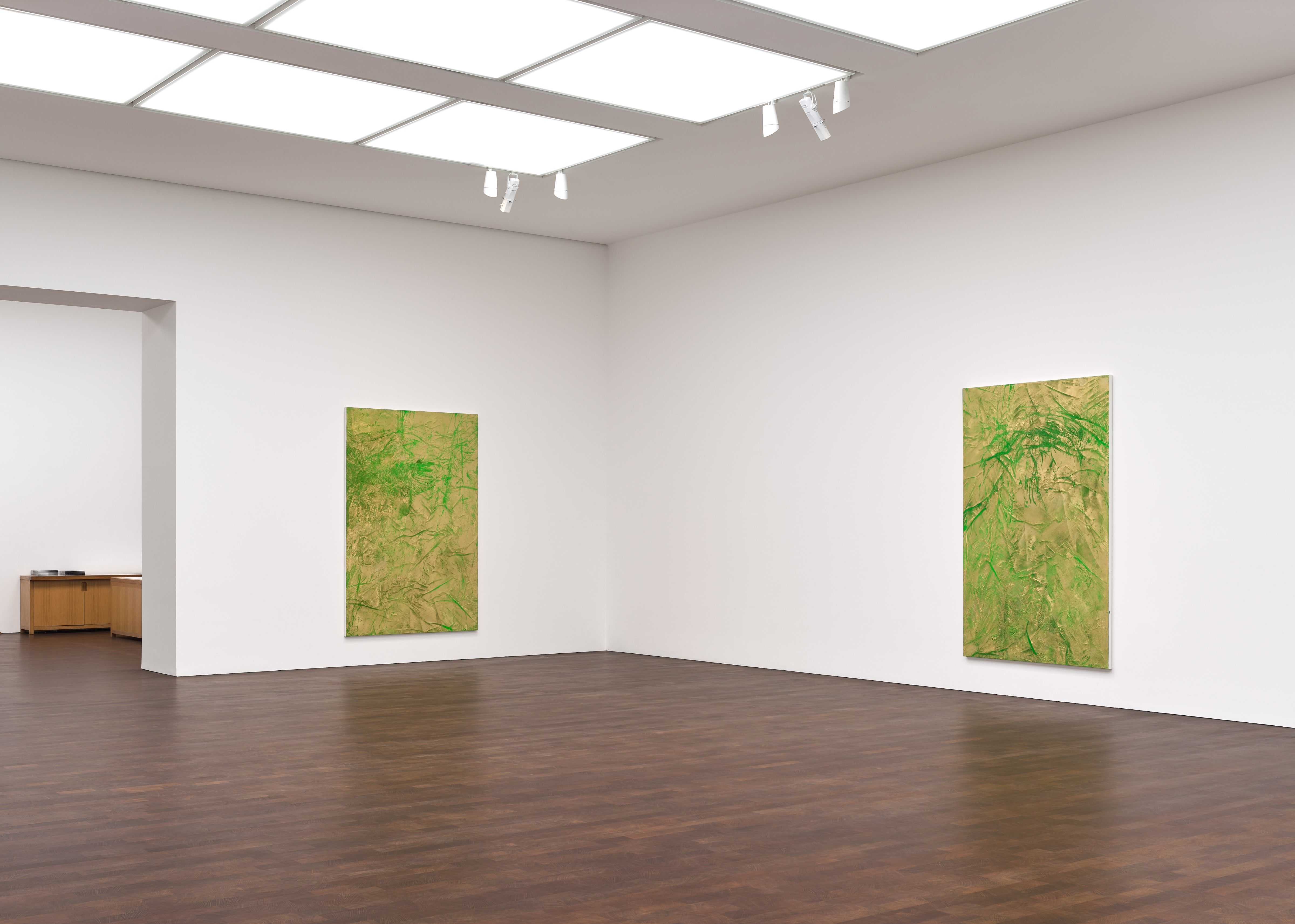 Rudolf Stingel, Vineyard Paintings at Gagosian, photo 2