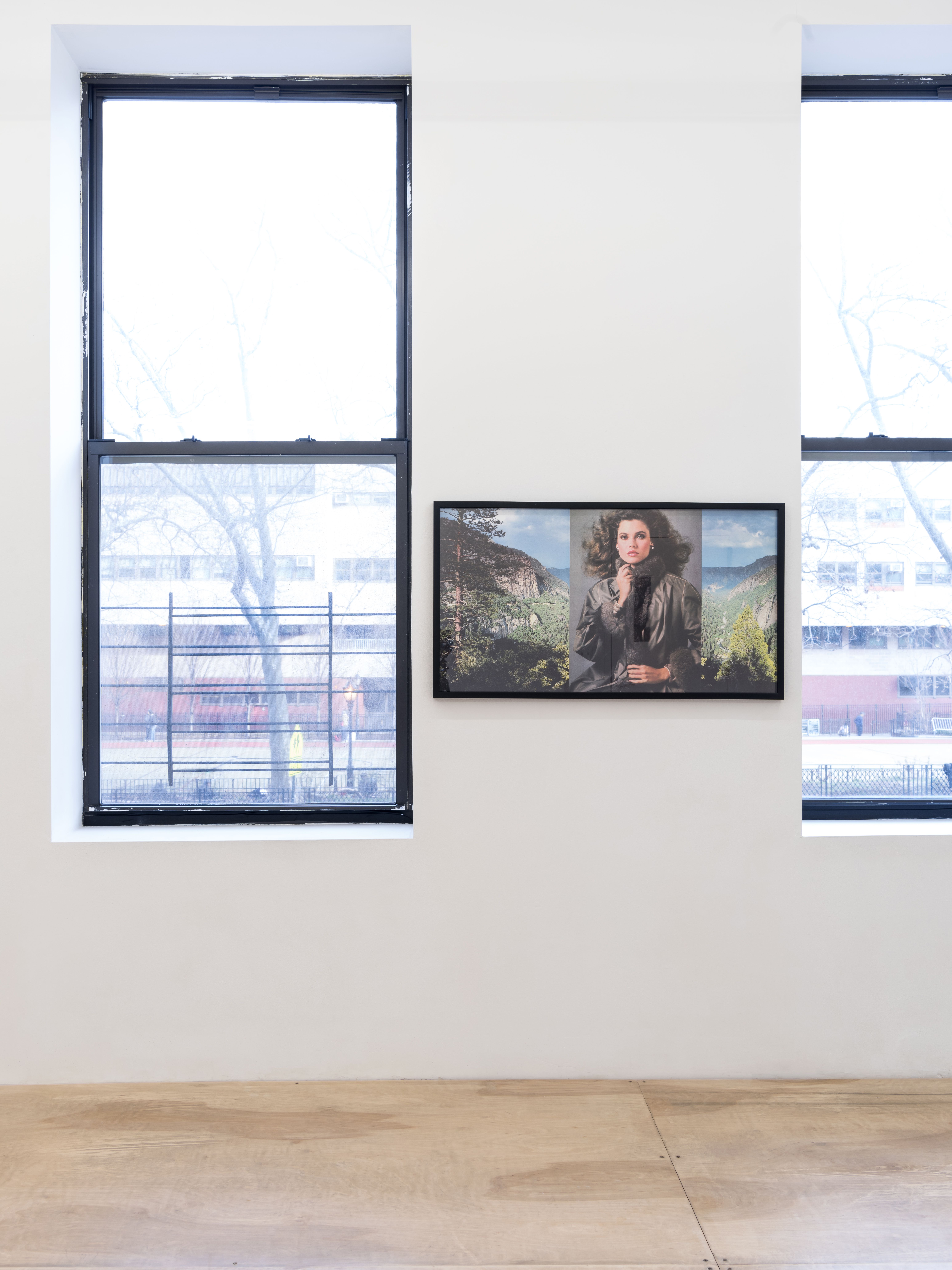 Vikky Alexander, 1981–1983 at Downs & Ross, photo 5