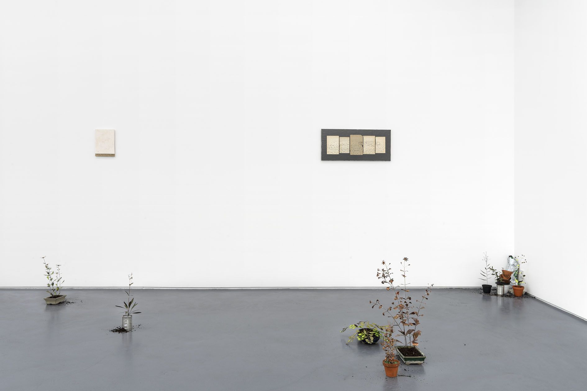 José Montealegre, Nuevo Mundo at Mountains, photo 2