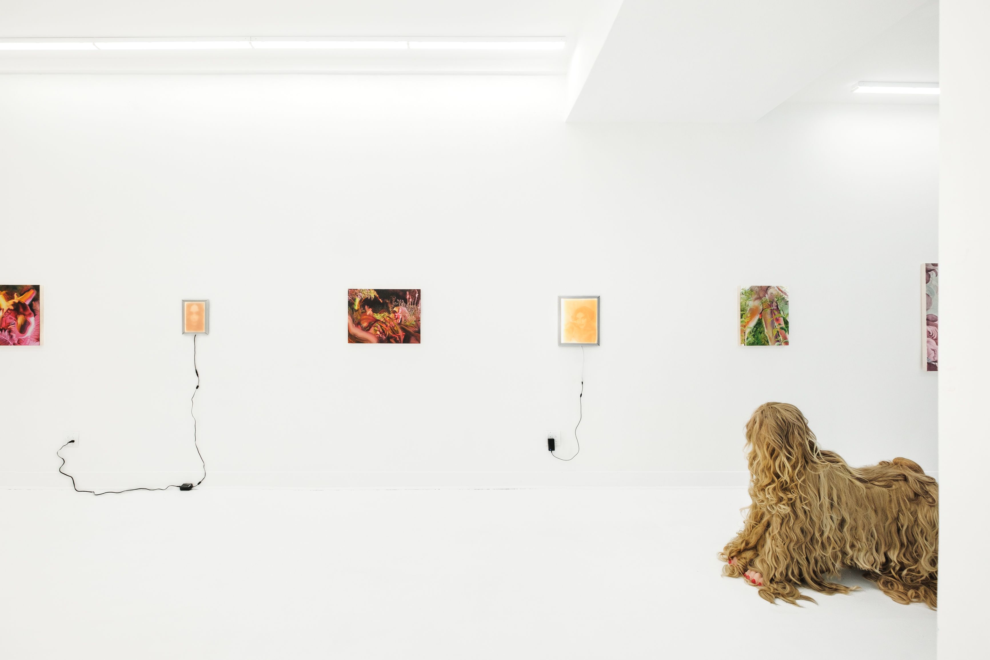 Flora and Flesh, Flora and Flesh at Lauren Powell Projects, photo 7