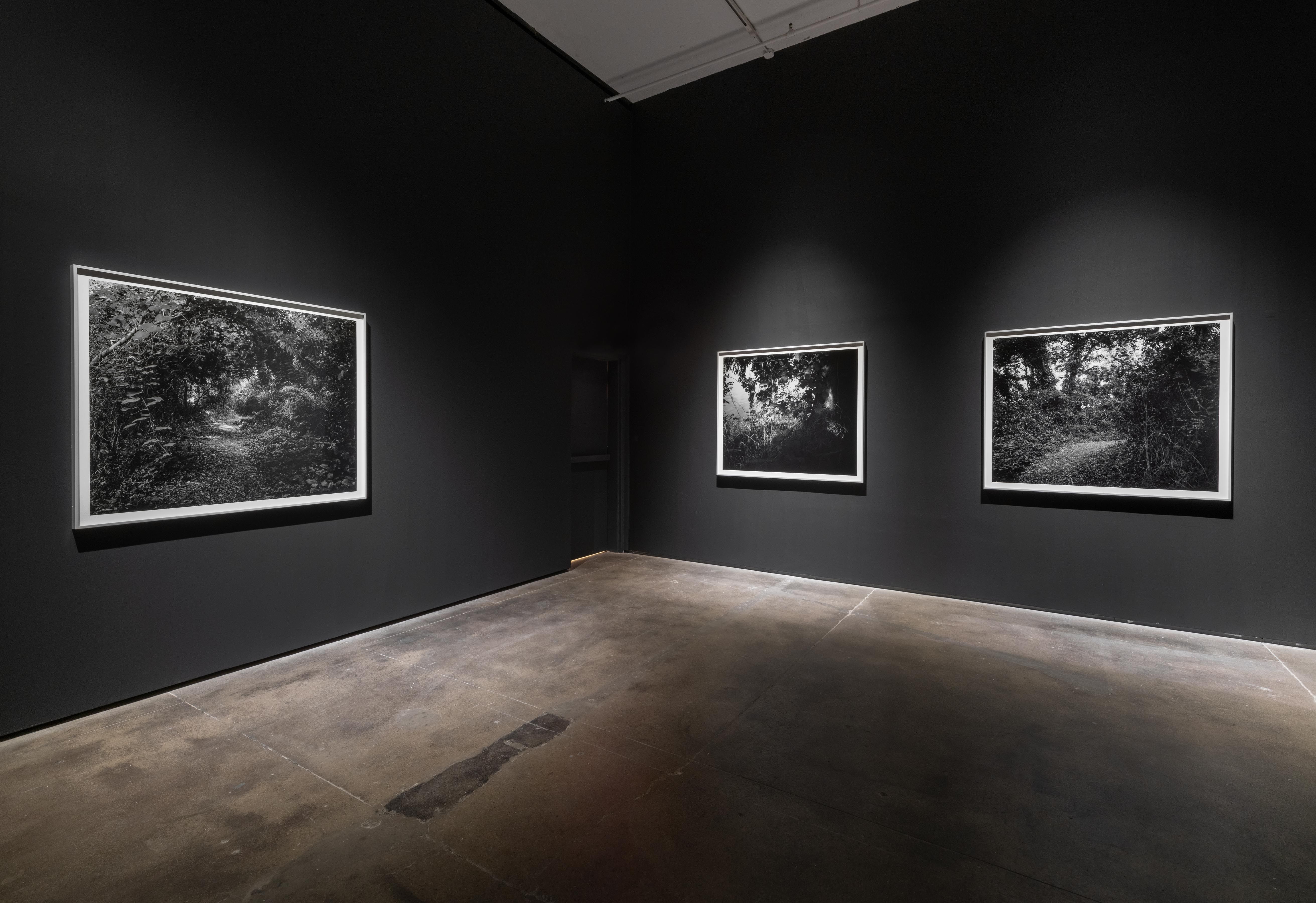 Installation view 6