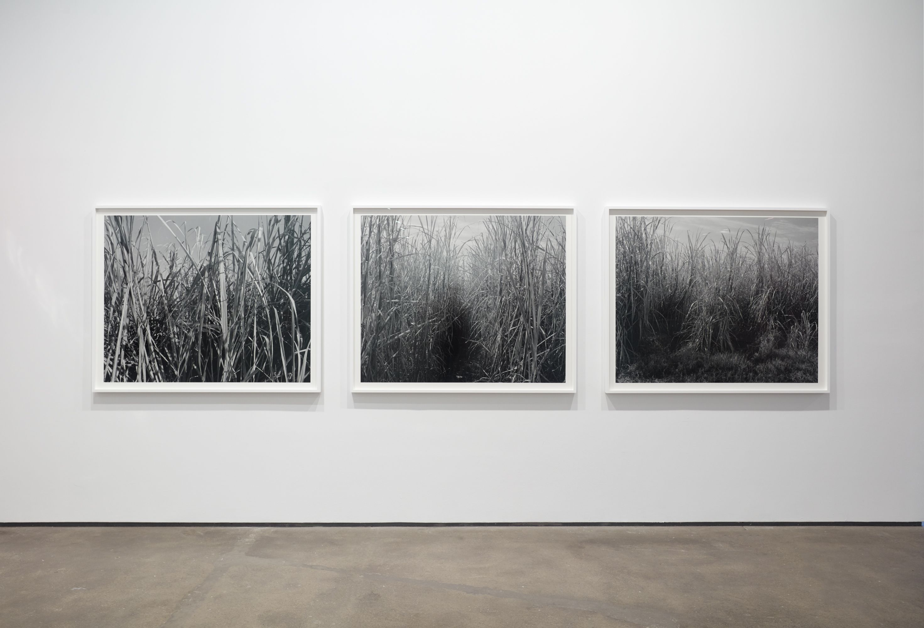 Installation view 12