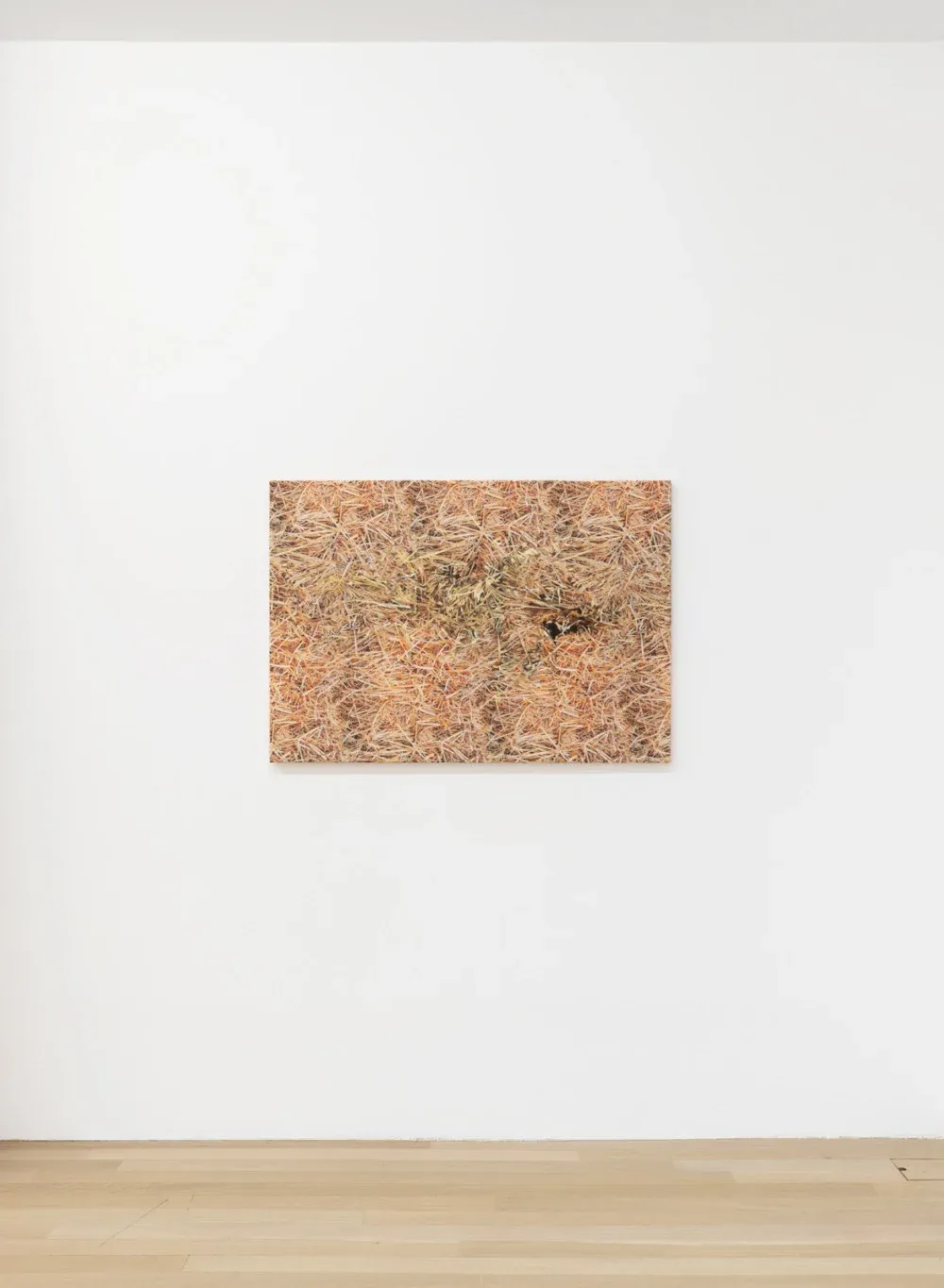 Vera Palme, Bottleneck at Buchholz, photo 6