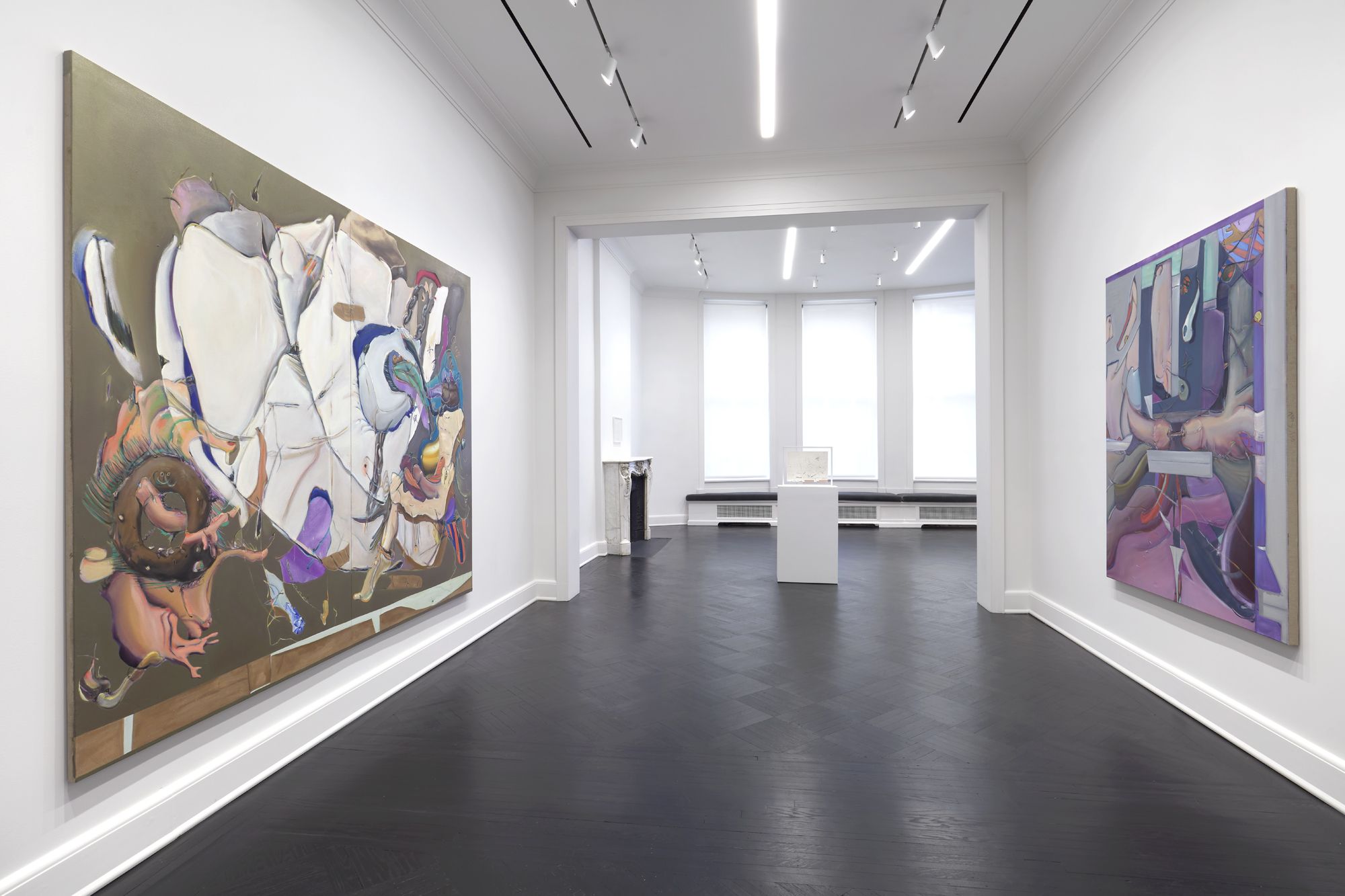 Stefanie Heinze, Frail Juice at Petzel, photo 5