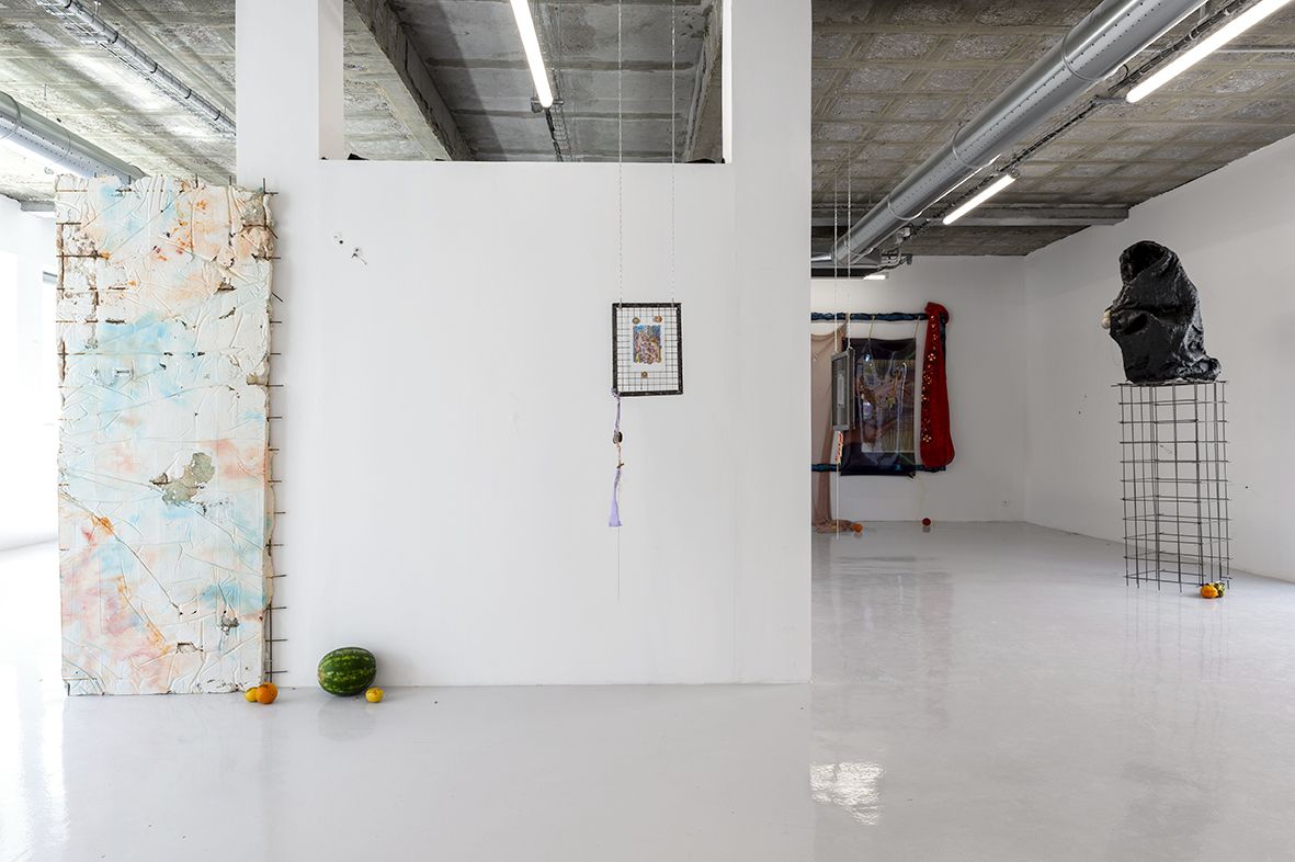 Gaëlle Choisne, Mondes Subtiles at Air de Paris, photo 2