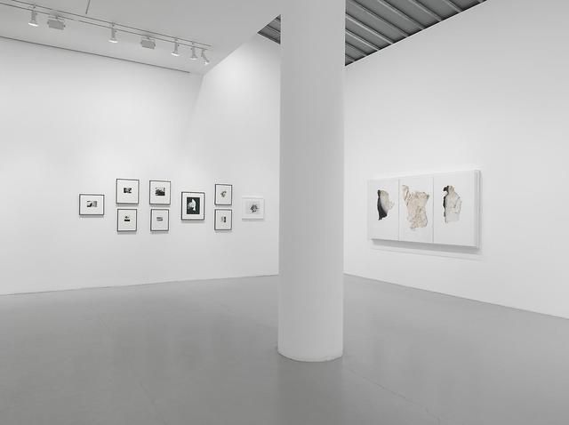 Jay DeFeo, Jay DeFeo at Mitchell-Innes & Nash, photo 4