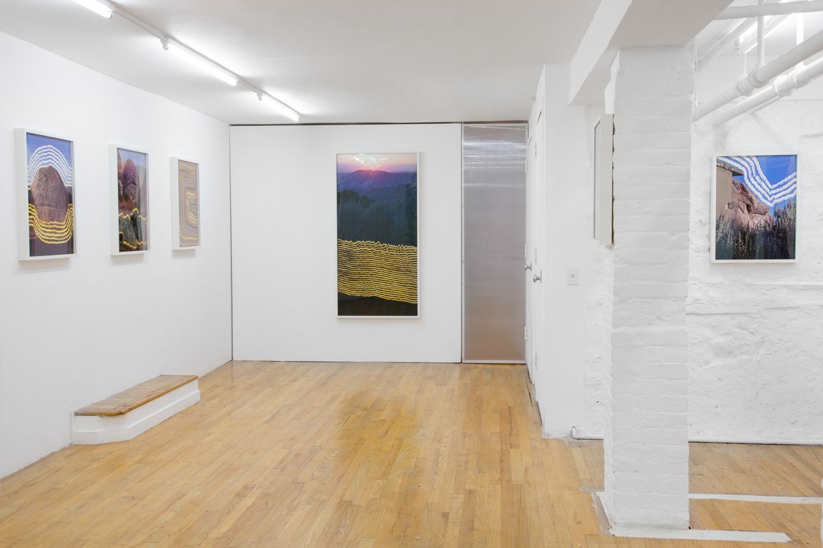 Evan Whale, I Heard, As It Were, The Noise Of Thunder at 321 Gallery, photo 2