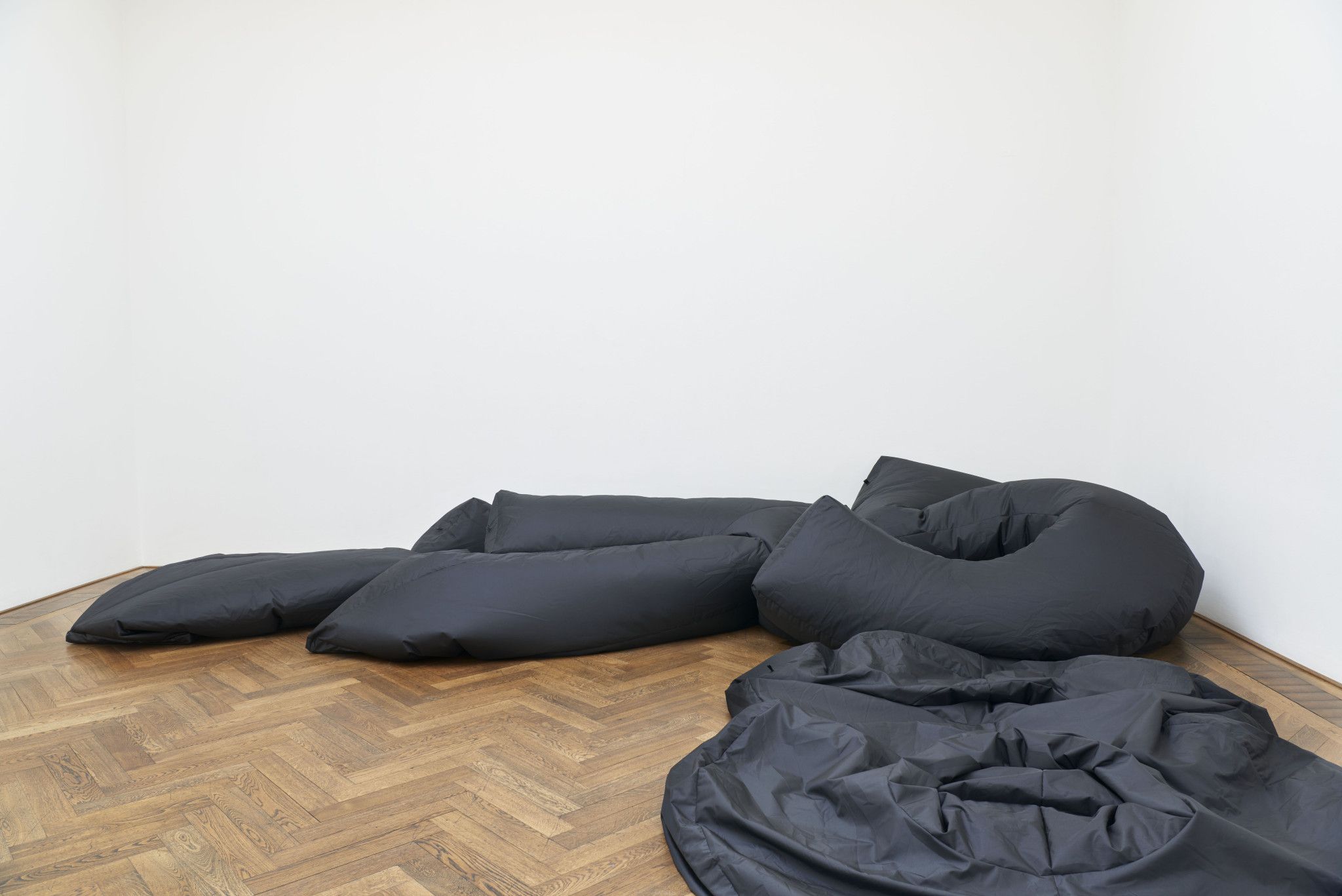 Ghislaine Leung, Commitments at Kunsthalle Basel, photo 6