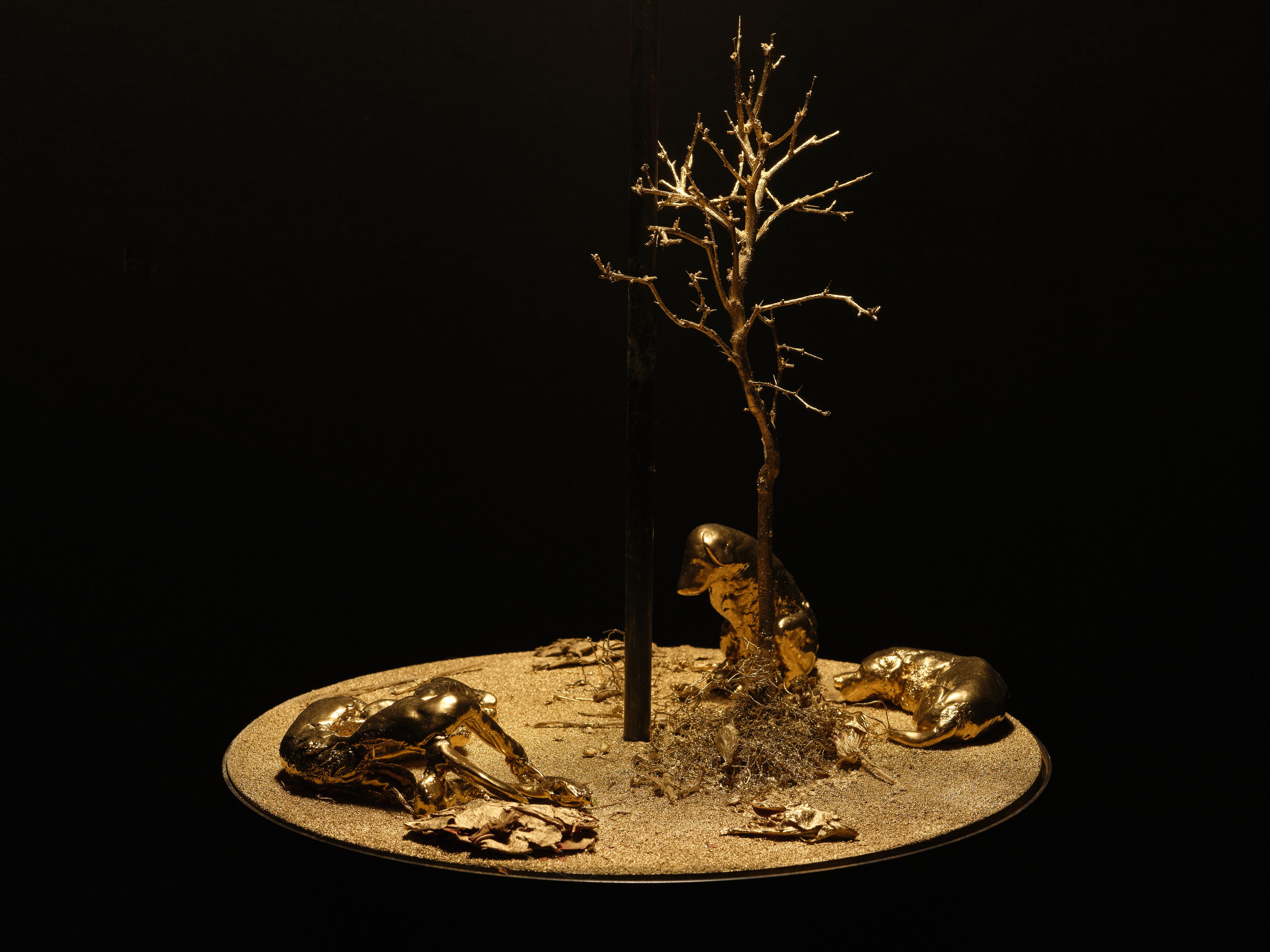 Robert Brambora, Lucy at Mamoth, photo 12