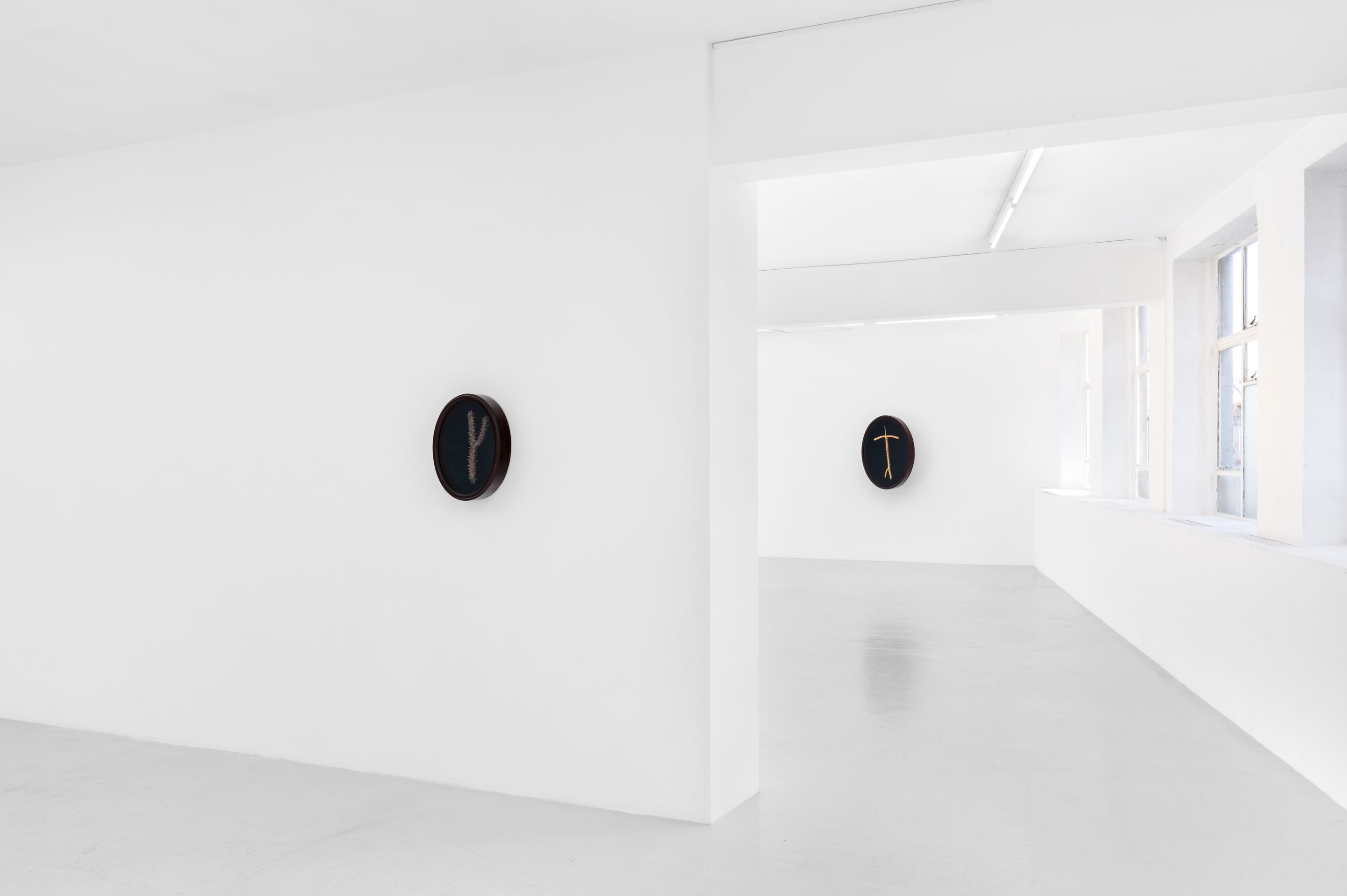 Zaza', image 11 of 23