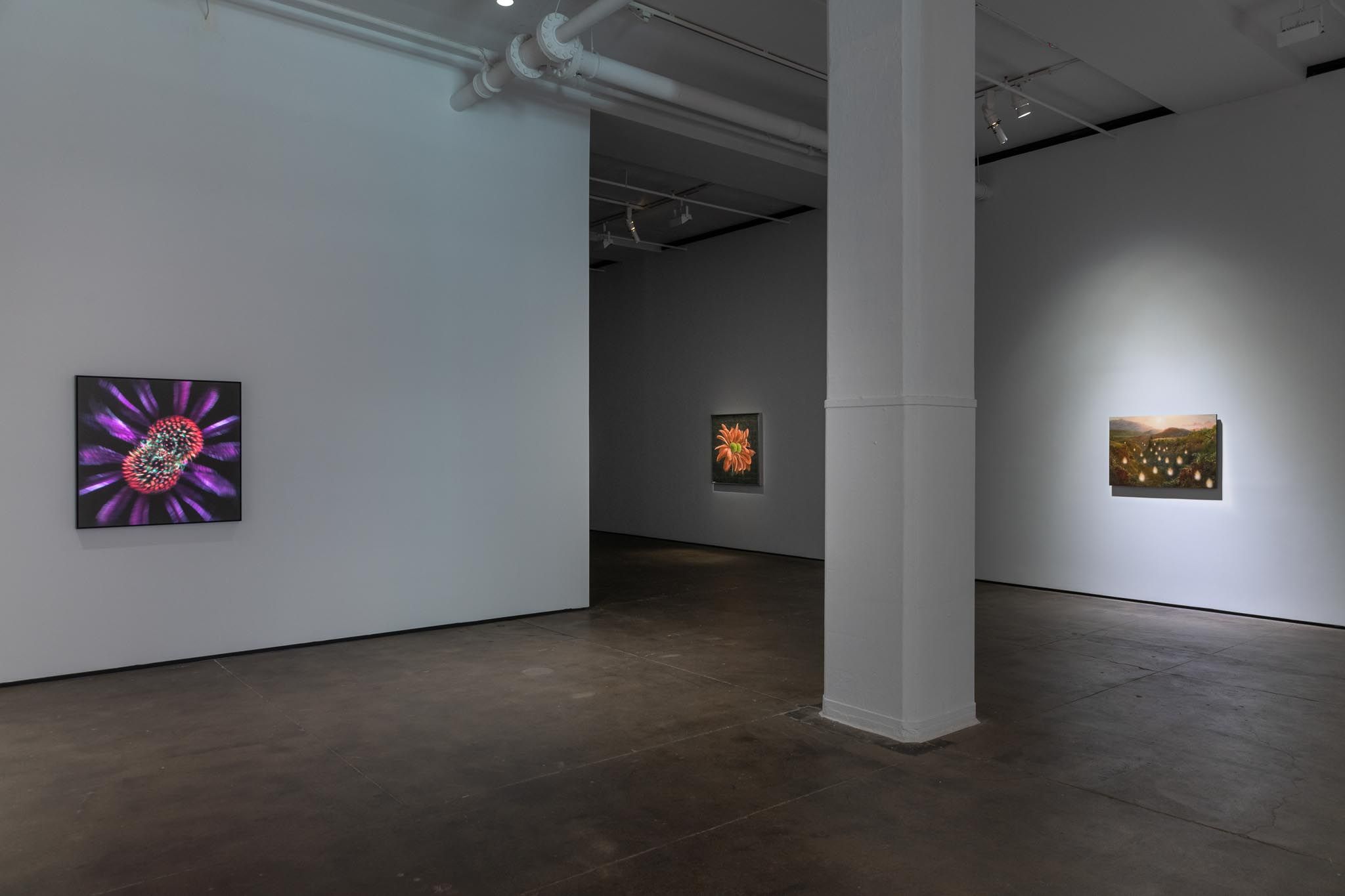 Installation view 4