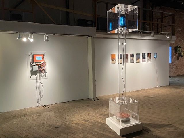 Machine Violence, Machine Violence at Postmasters 5.0, photo 5