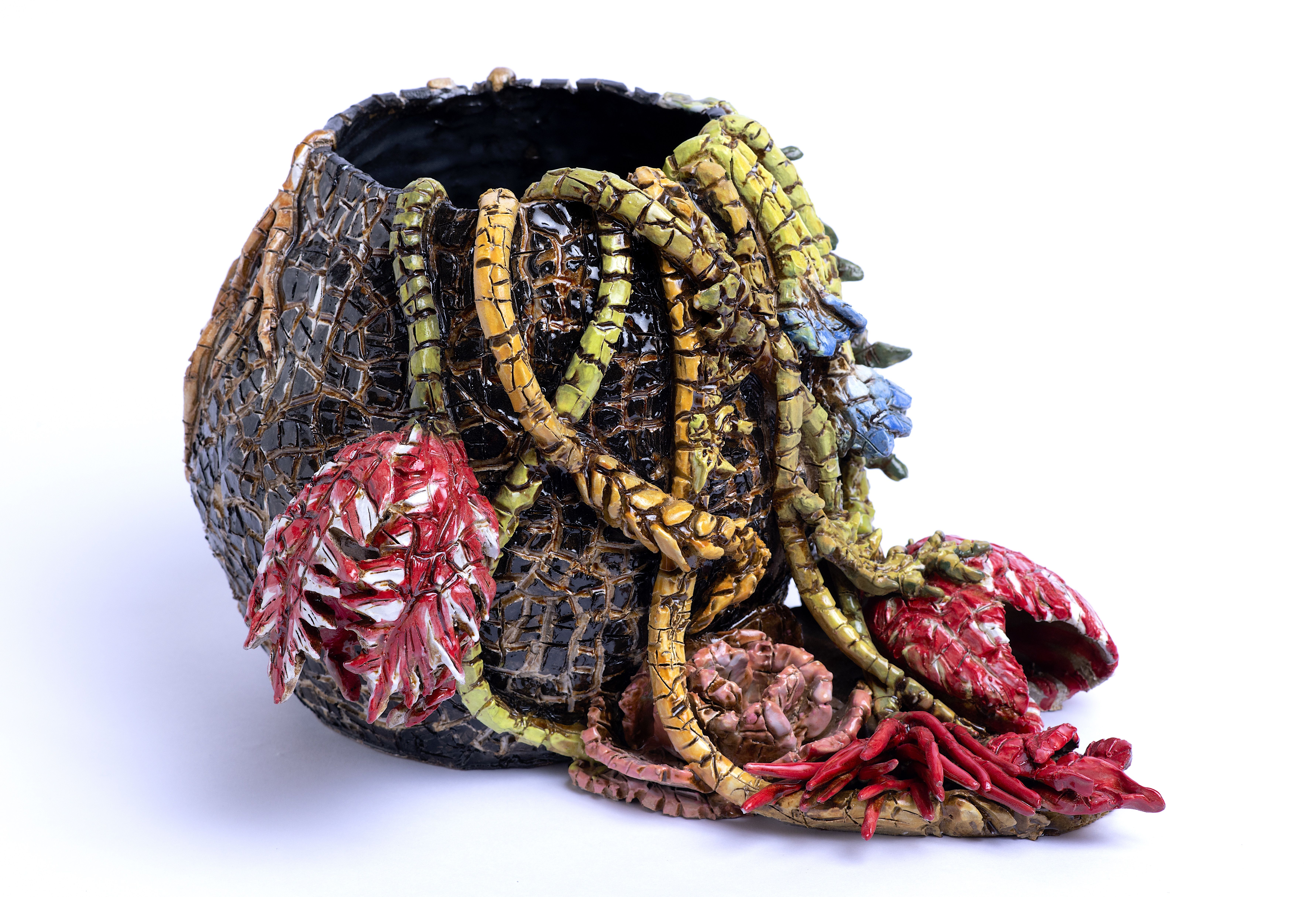 Valerie Hegarty, image 3 of 4