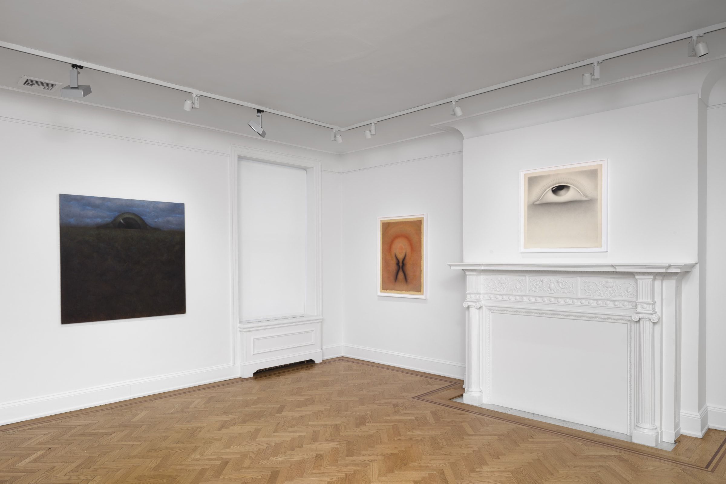 Rodolfo Abularach, A Cosmic Vision at David Nolan, photo 3