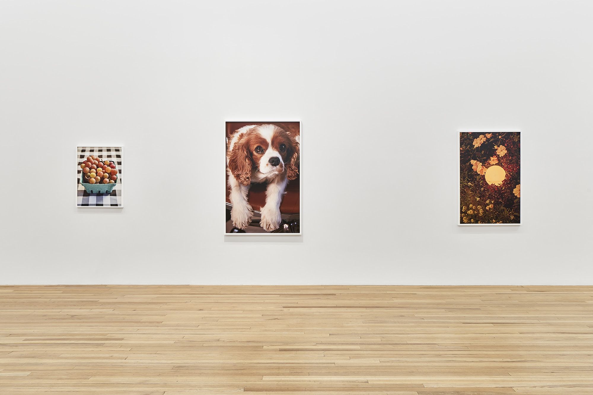 Roe Ethridge, Shore Front Parkway at Andrew Kreps, photo 2