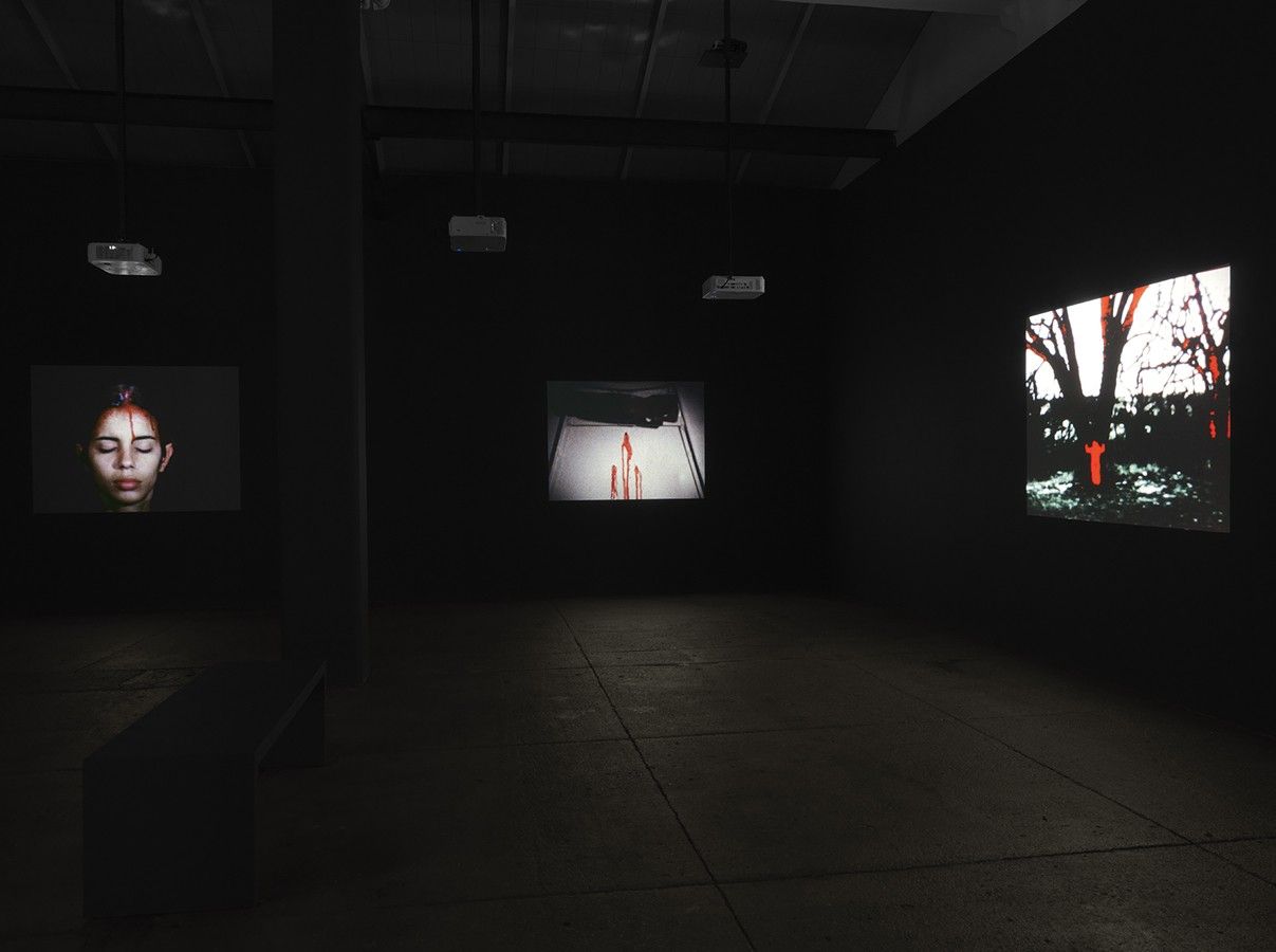Ana Mendieta, Experimental and Interactive Films at Lelong & Co, photo 6