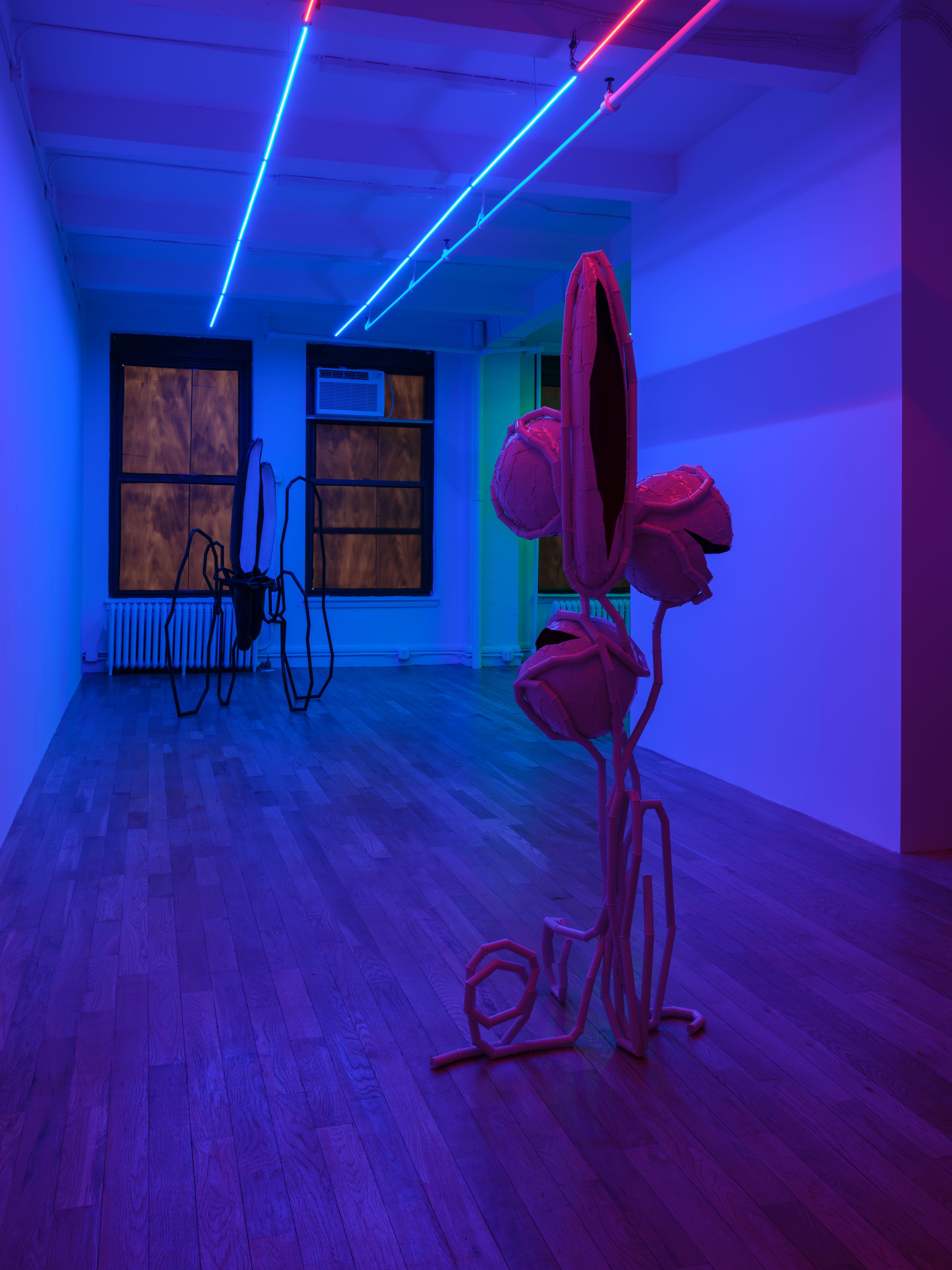 Indrikis Gelzis, Bingo Gaze at Polina Berlin Gallery, photo 6