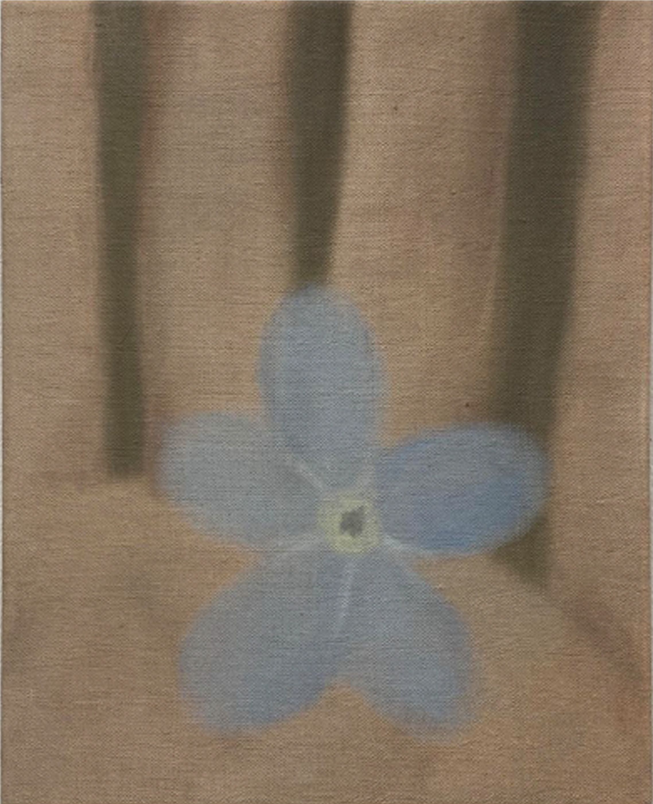 Forget-Me-Nots, image 2 of 2