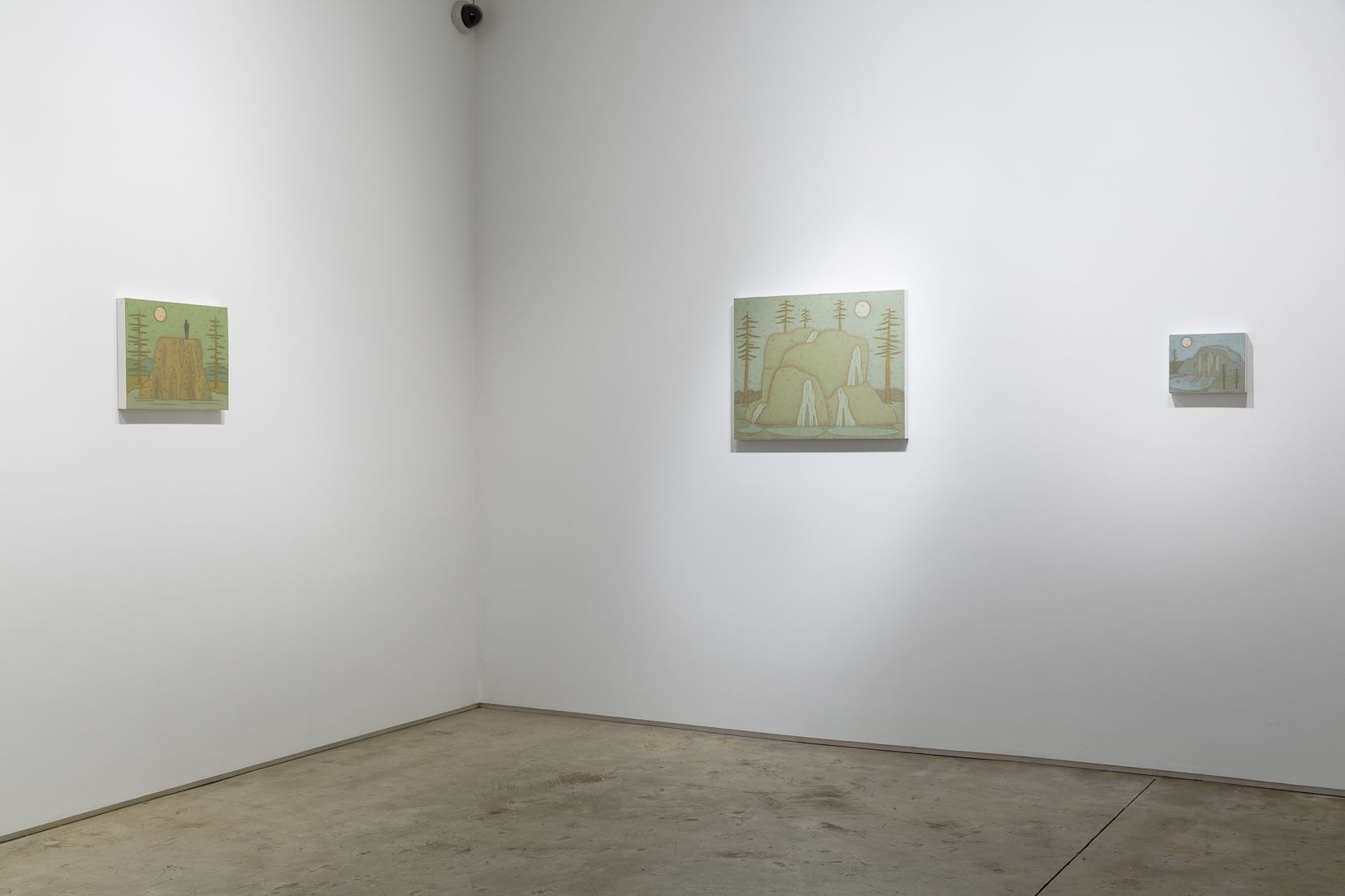 John Dilg, Natural Memory at Taymour Grahne, photo 7