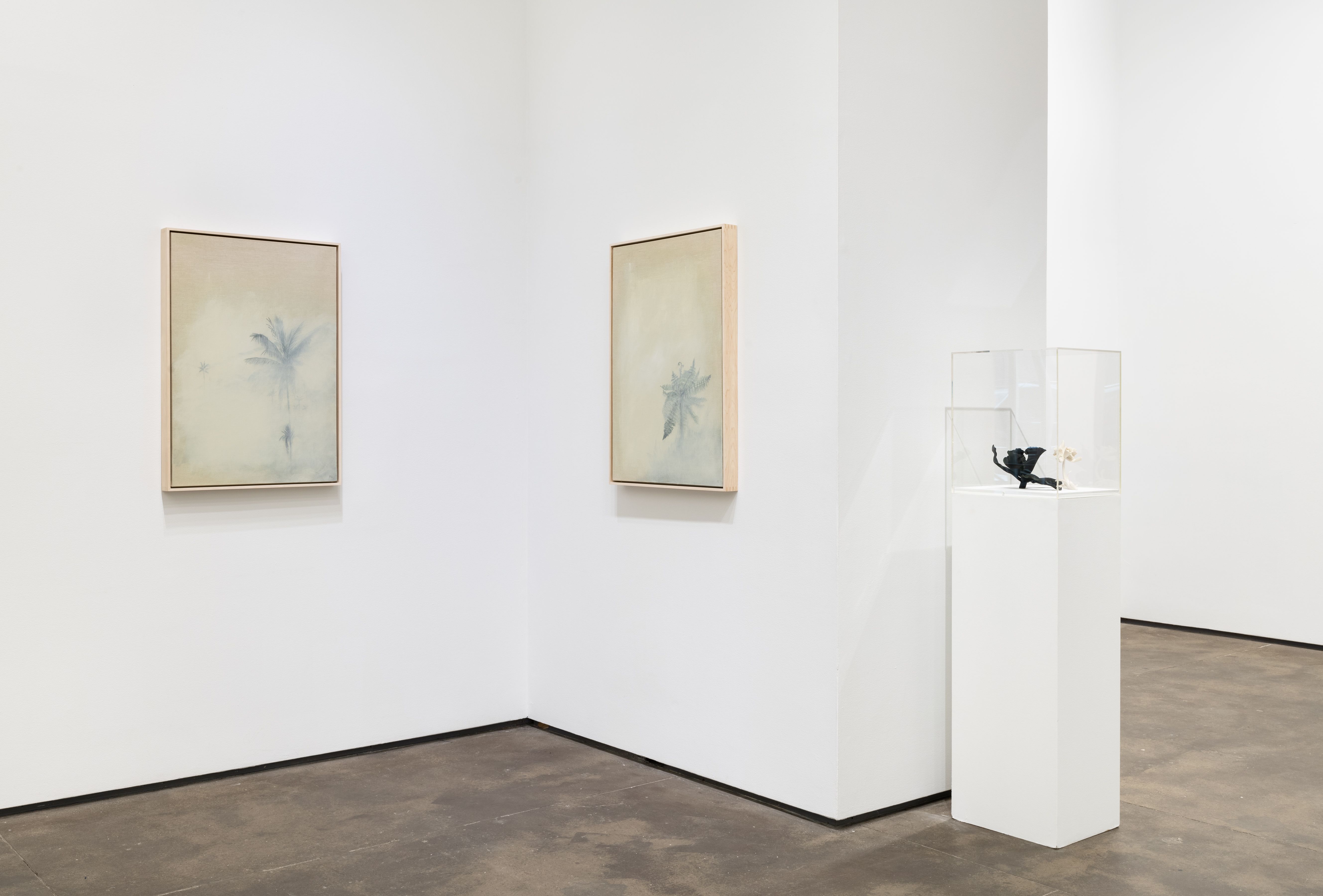 Installation view 2