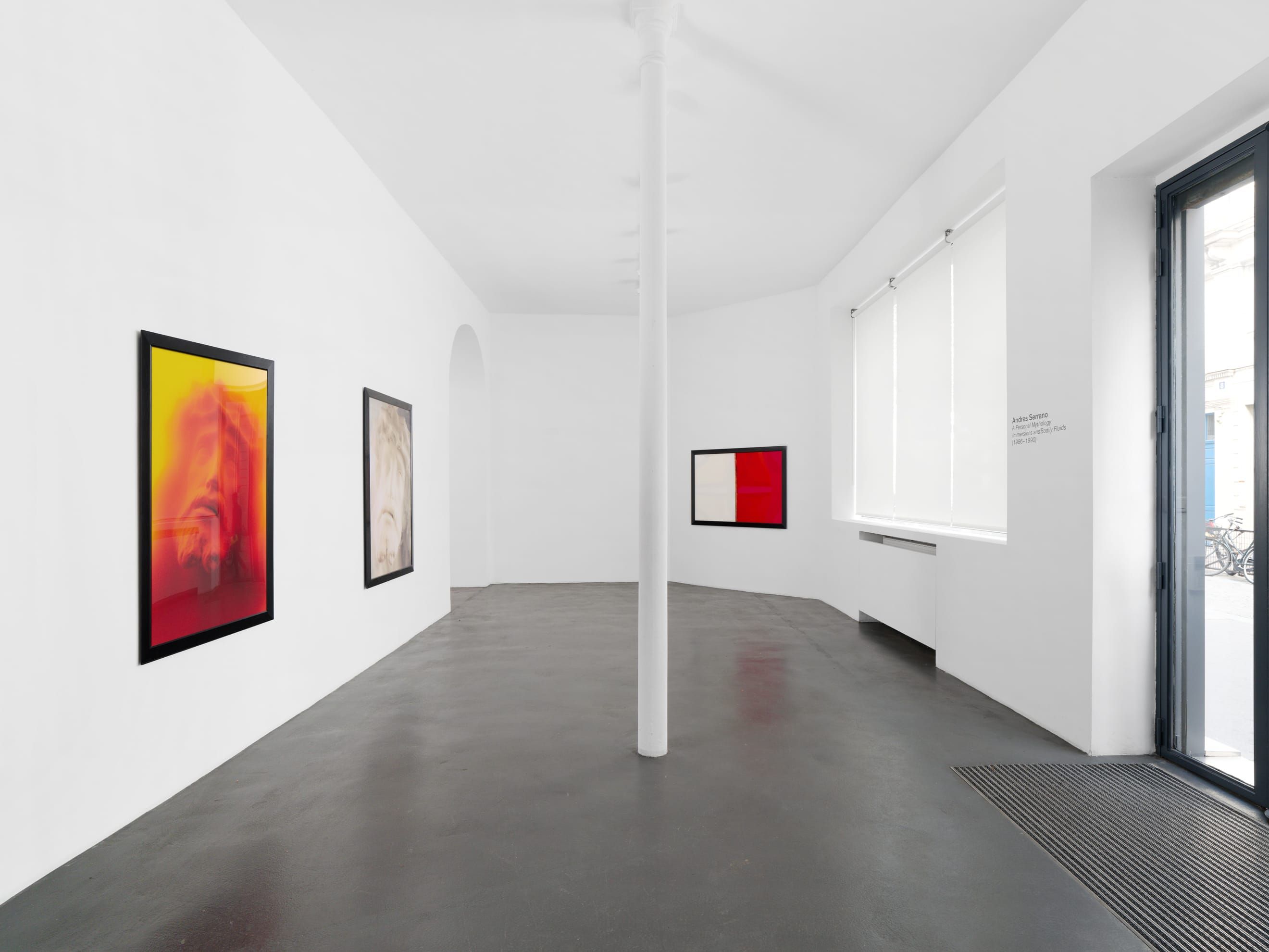 Andres Serrano, A Personal Mythology Immersions and Bodily Fluids at Nathalie Obadia, photo 8