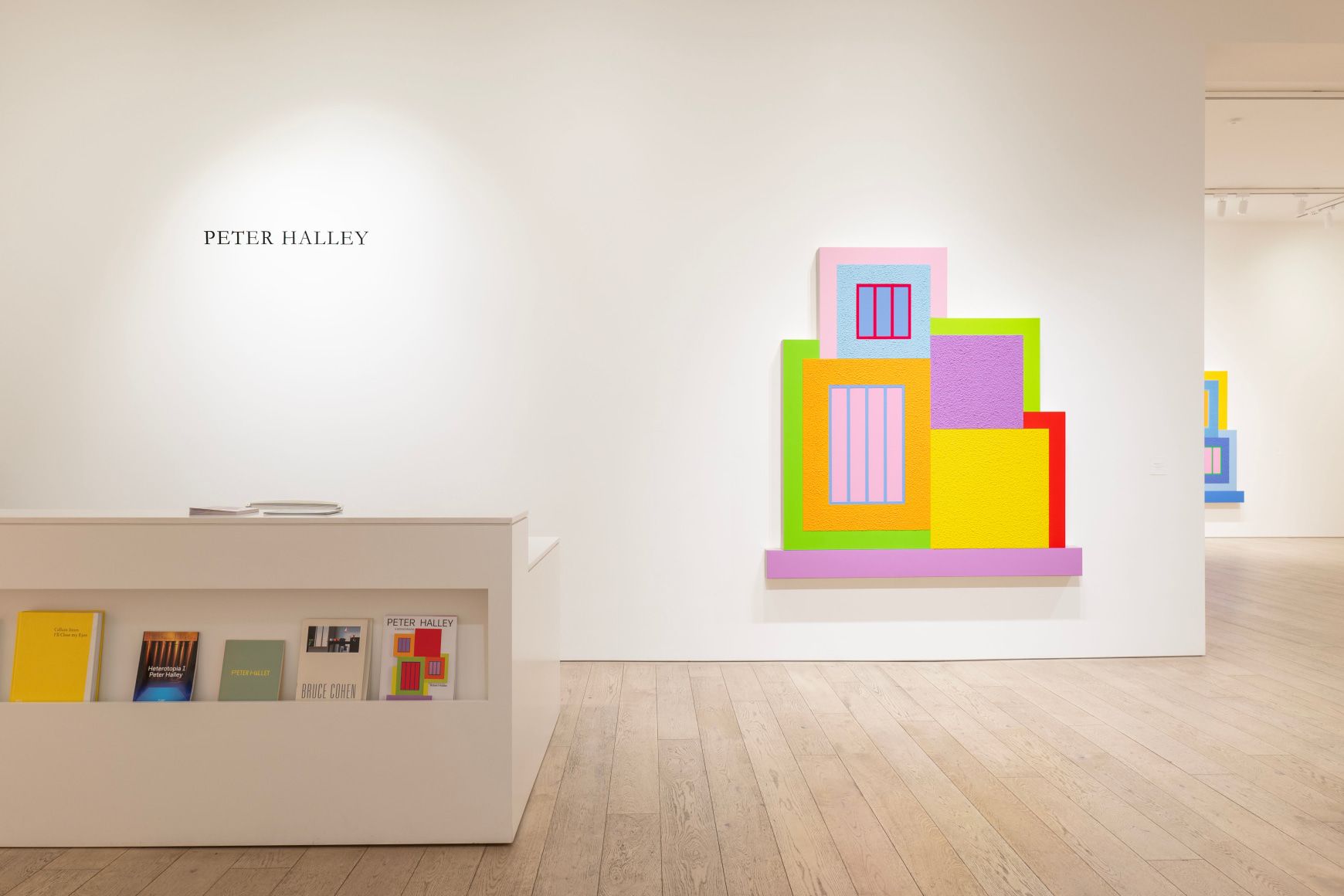 Peter Halley, Peter Halley at Berggruen, photo 6