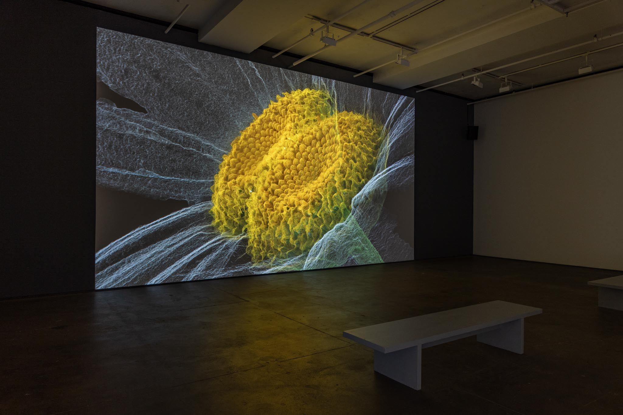 Installation view 2