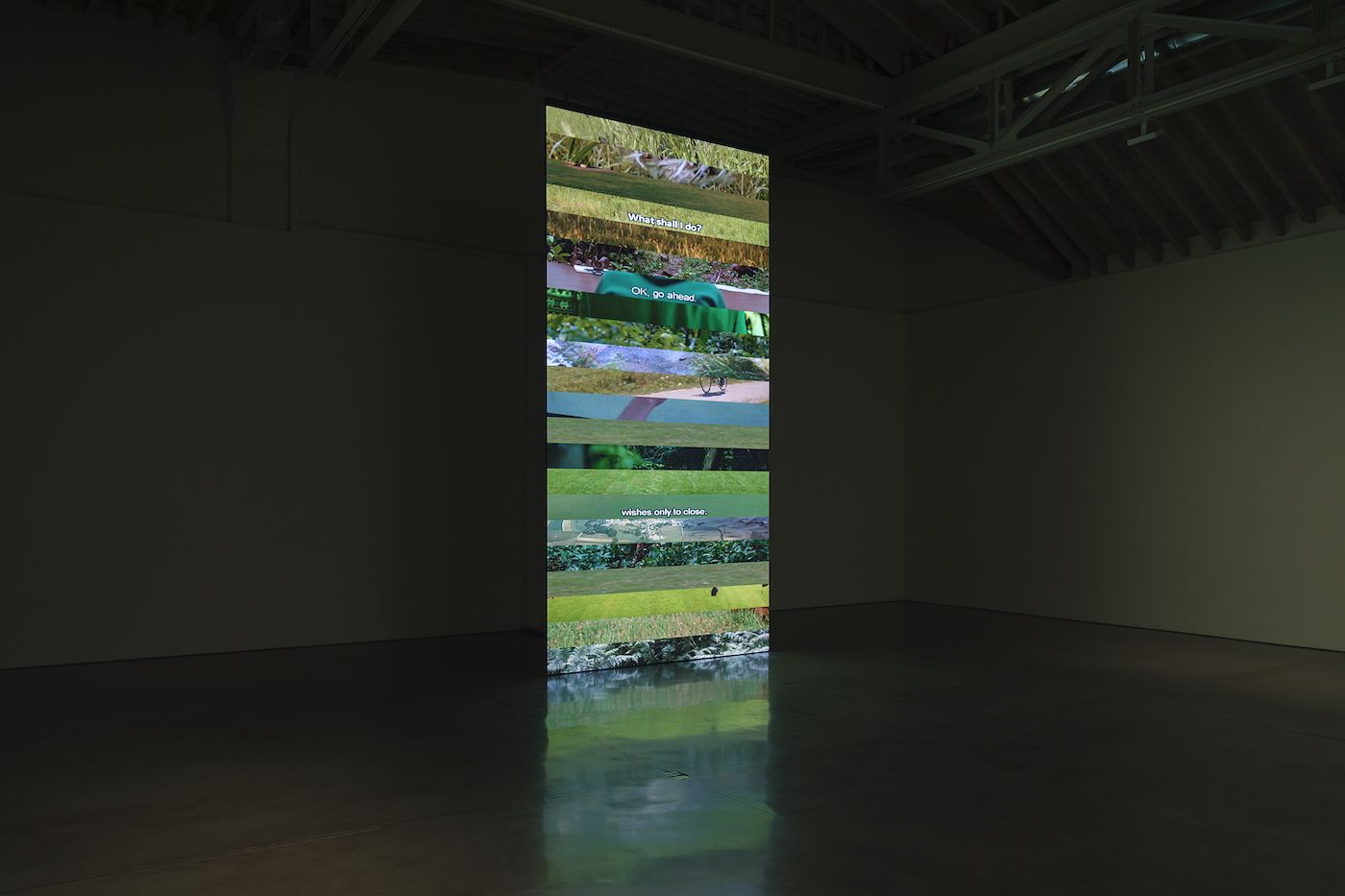 Christian Marclay, Subtitled at Paula Cooper, photo 5