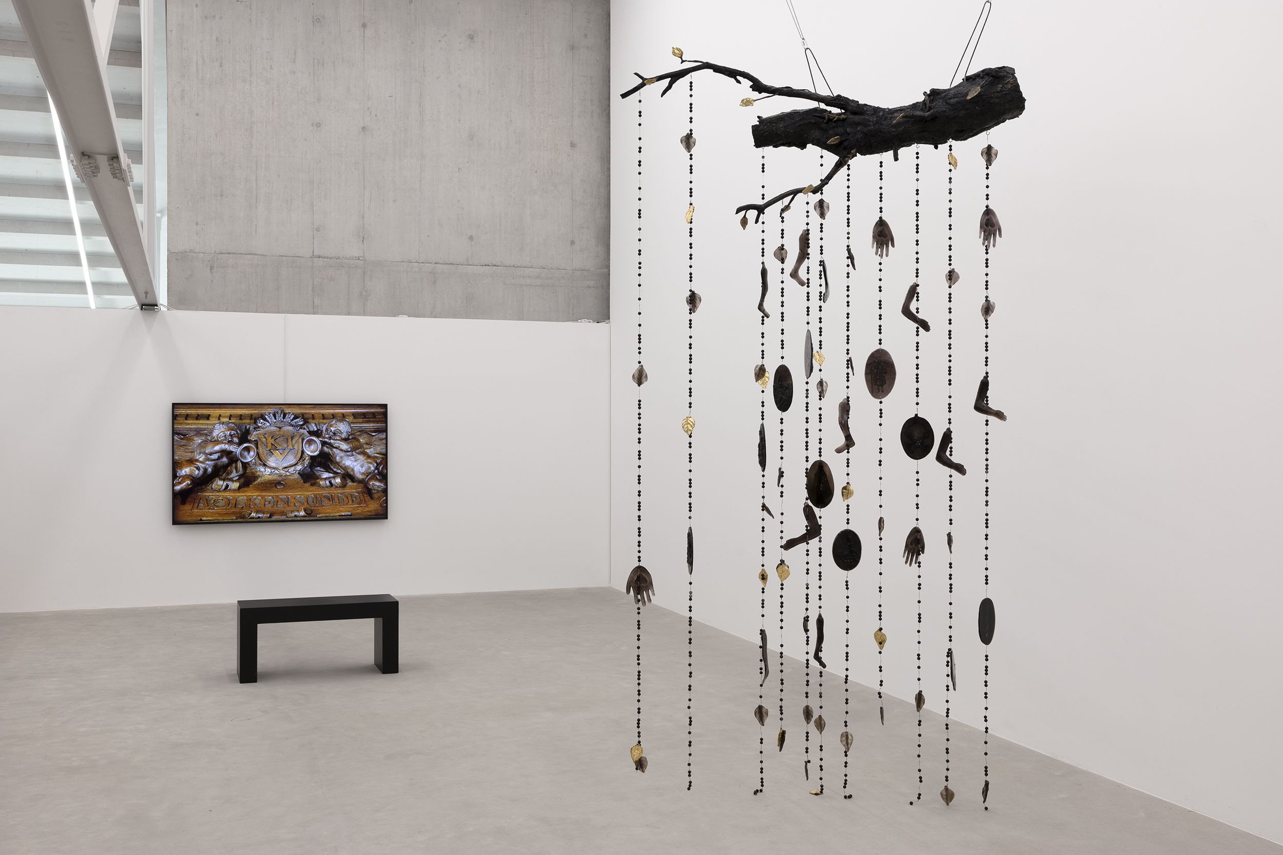 Whispers From Tides and Forests, Whispers From Tides and Forests at Kunsthaus Baselland, photo 10