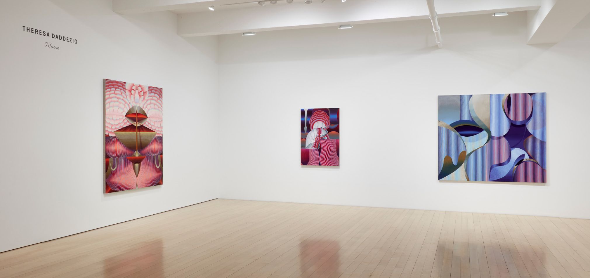 Theresa Daddezio, Bloom at DC Moore, photo 5