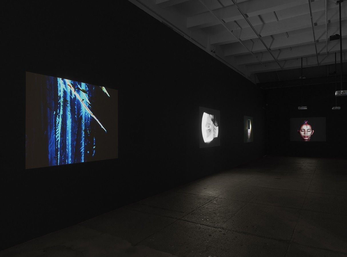 Ana Mendieta, Experimental and Interactive Films at Lelong & Co, photo 3