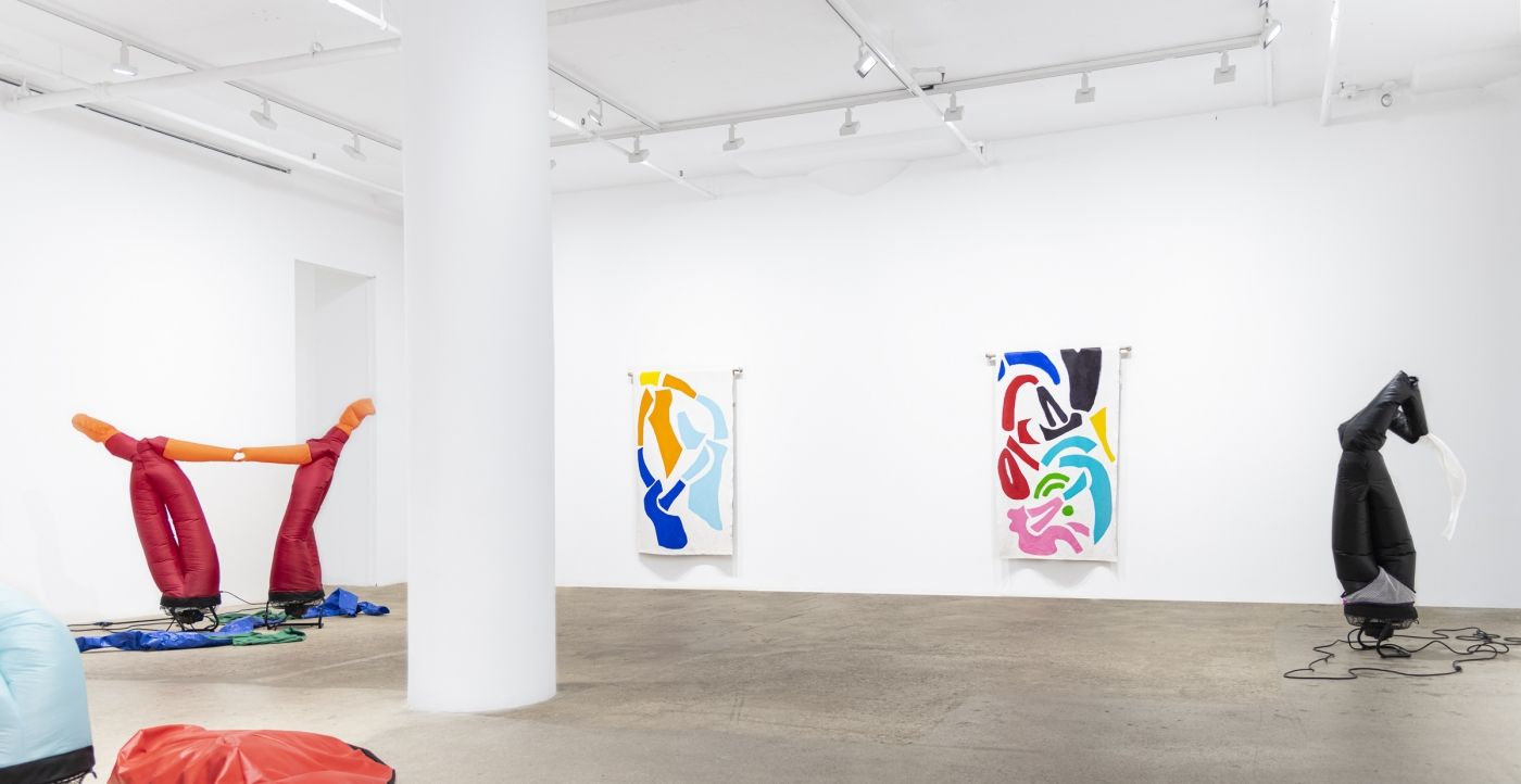 Paul Chan, The Bather's Dilemma at Greene Naftali, photo 3