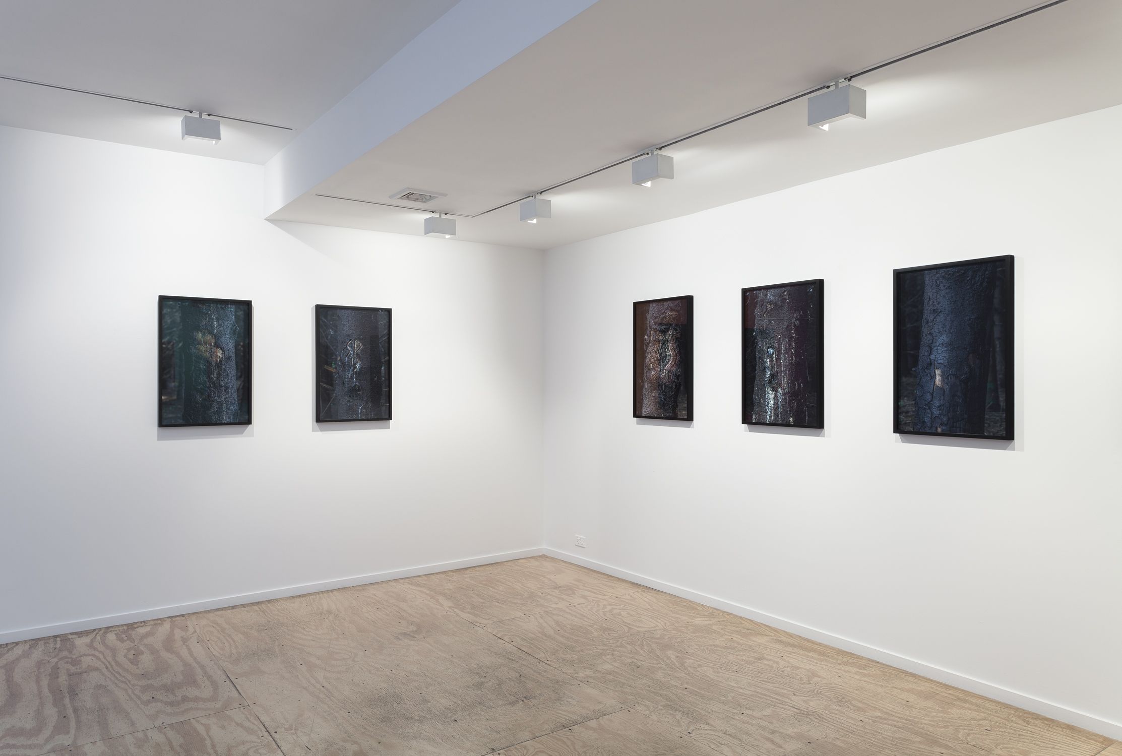 Willie Doherty, Willie Doherty at Alexander and Bonin, photo 6