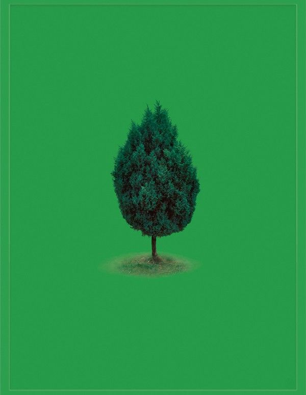 Sarah Charlesworth, Selected by Liz Deschenes at Campoli Presti, photo 2