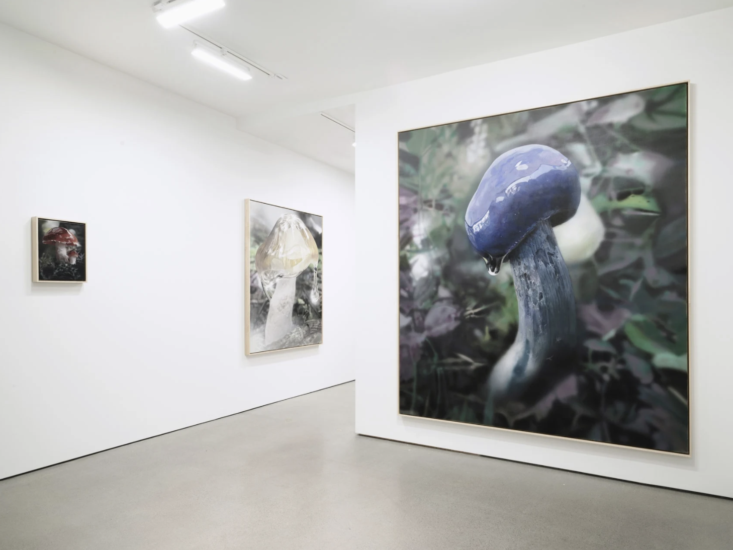 Craig Boagey, A Drop Filled With Memories at Simchowitz, photo 11