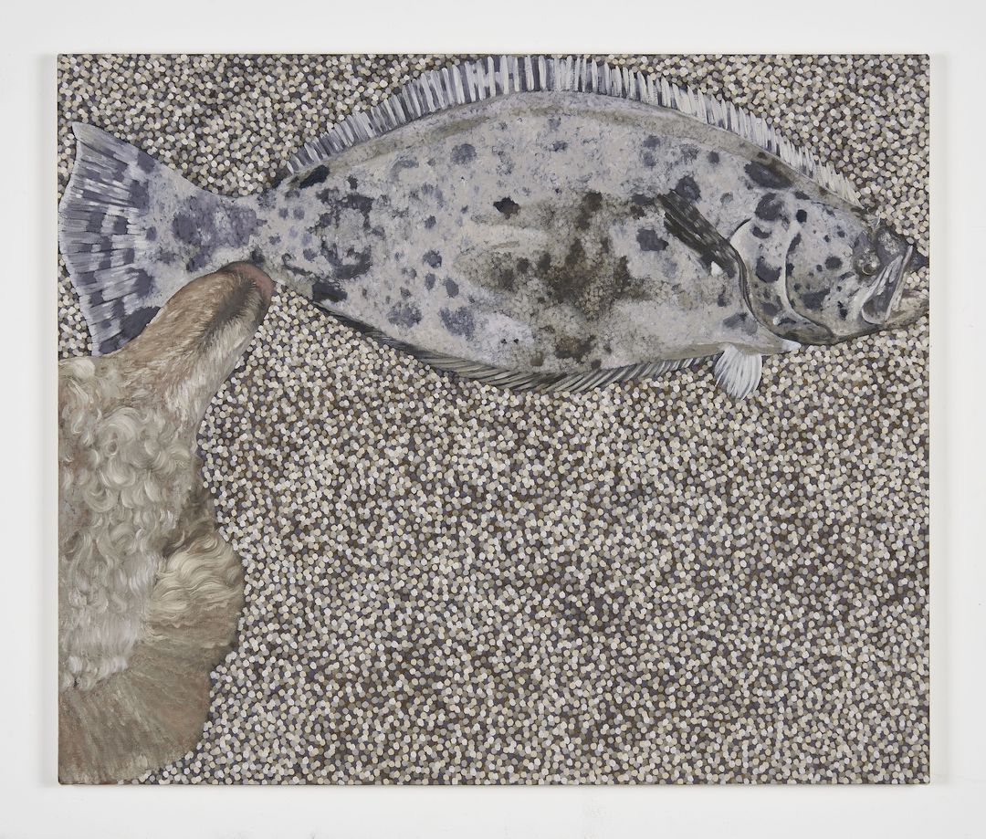 Adam Higgins, Flatfish at Hunter Shaw Fine Art, photo 16