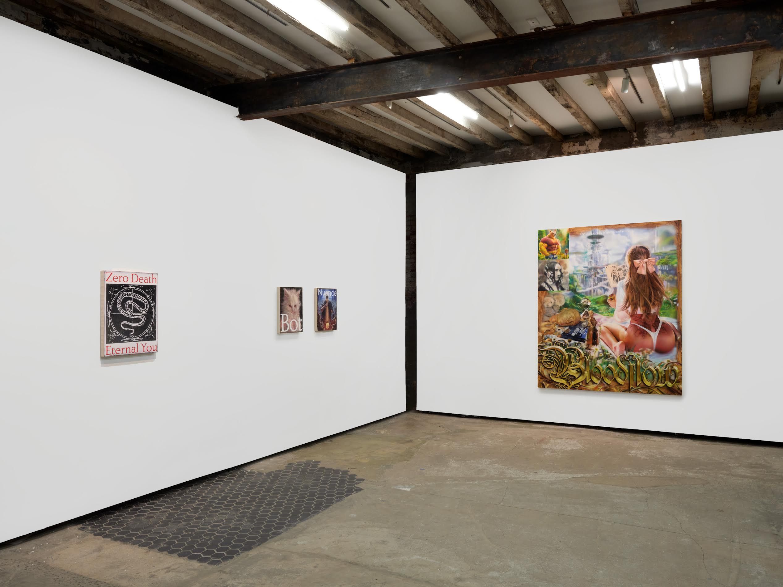 Craig Boagey, Knowledge as Alchemy at Amanita, photo 2