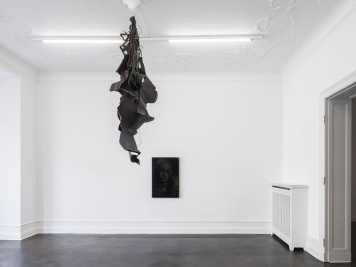 Lutz Bacher, Divine Transportation at Buchholz, photo 2