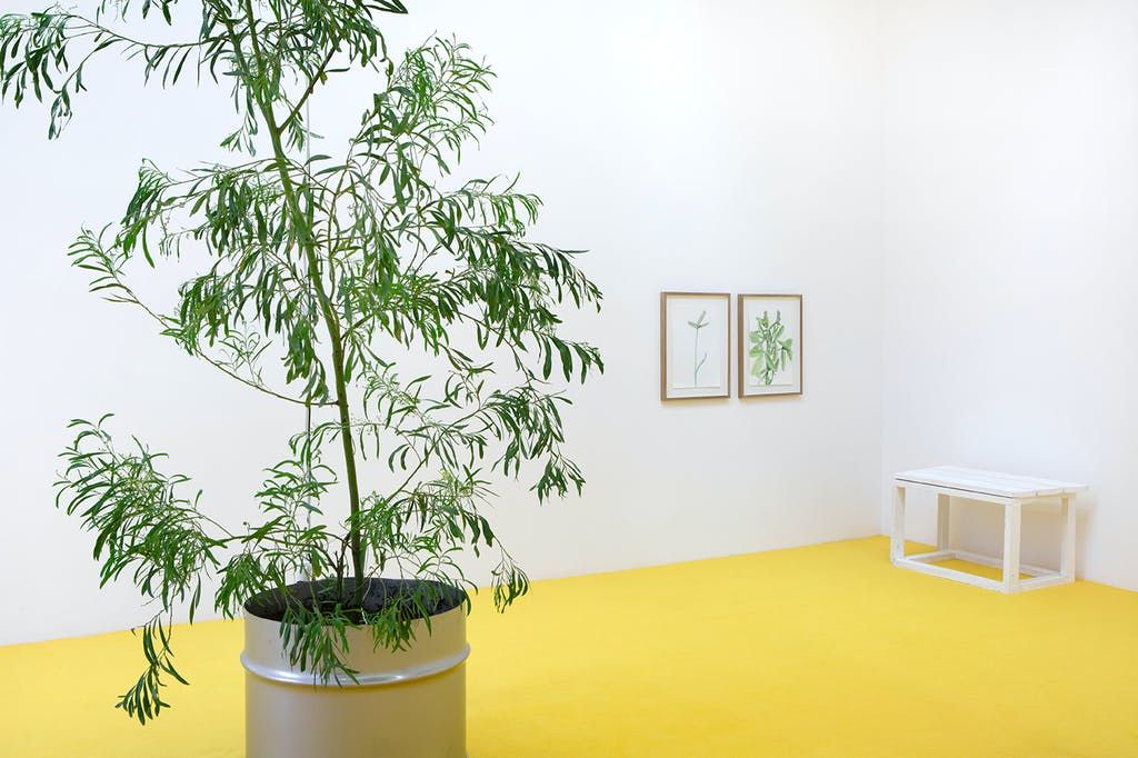 Mohamed Bourouissa, Brutal Family Roots at Mennour, photo 2