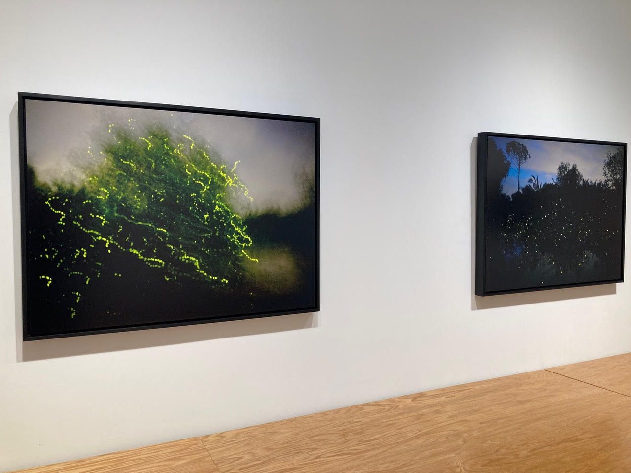 Elijah Gowin, Spirit and Shadow at Robert Mann Gallery, photo 3
