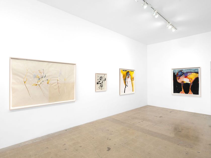 Rick Bartow, Renewal and Regrowth at Timothy Hawkinson, photo 3