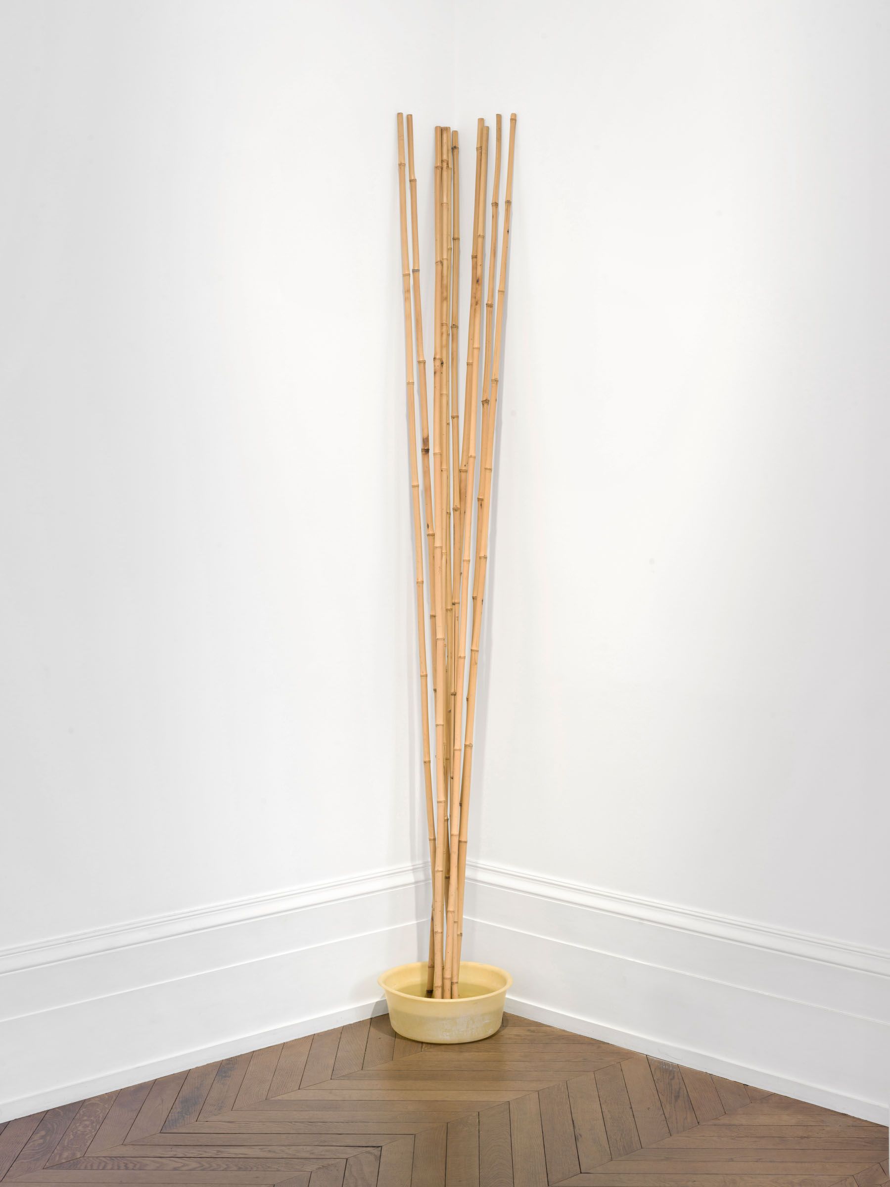 Sigmar Polke, Objects: Real and Imagined at Michael Werner, photo 5