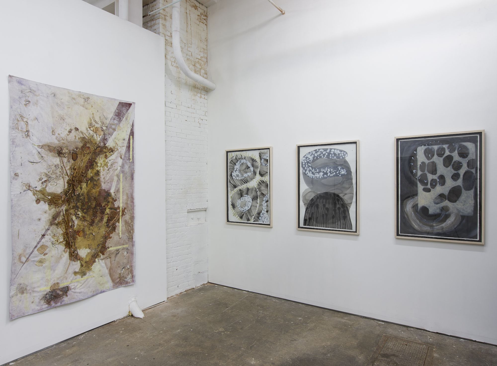 Boomshakalaka, Boomshakalaka at False Flag, photo 9